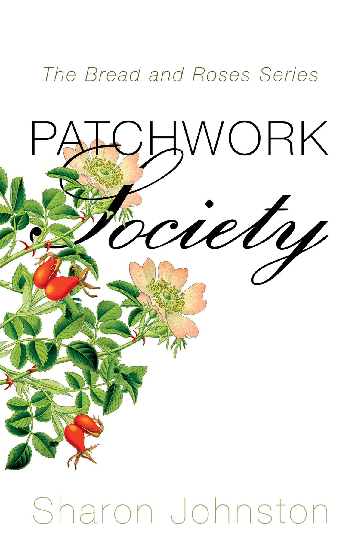 Cover image for Patchwork Society ISBN 9781459737051