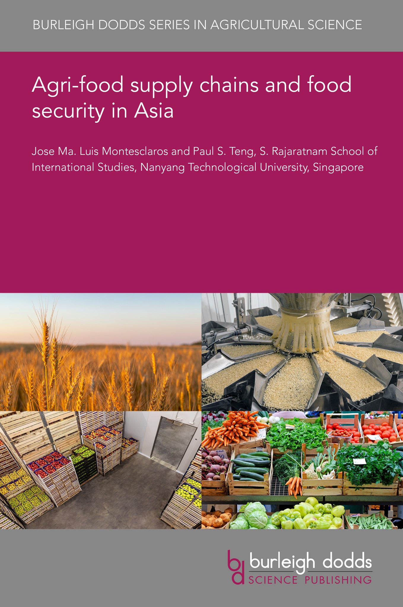 Cover image for Agri-food supply chains and food security in Asia ISBN 9781835451557