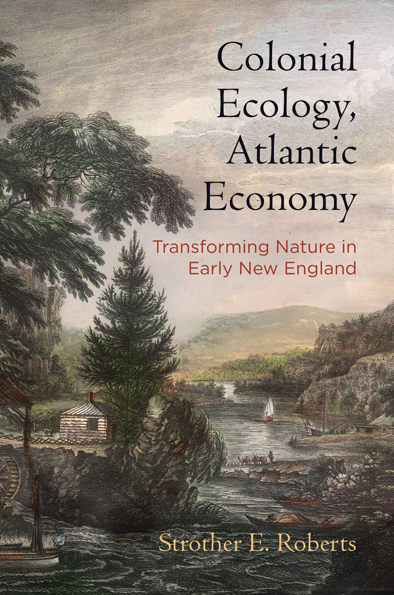 Cover image for Colonial Ecology, Atlantic Economy ISBN 9780812251272