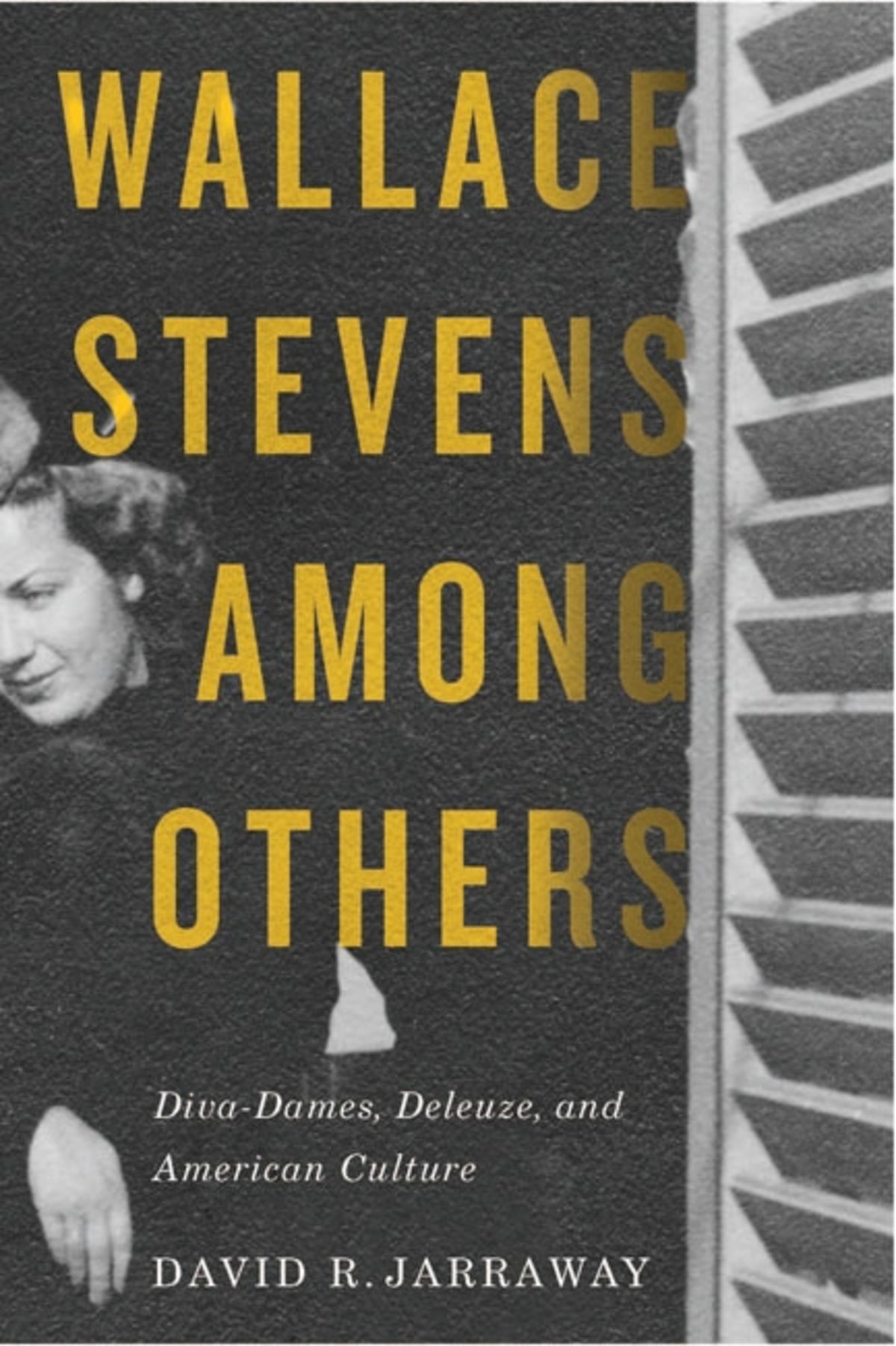 Cover image for Wallace Stevens among Others ISBN 9780773597778