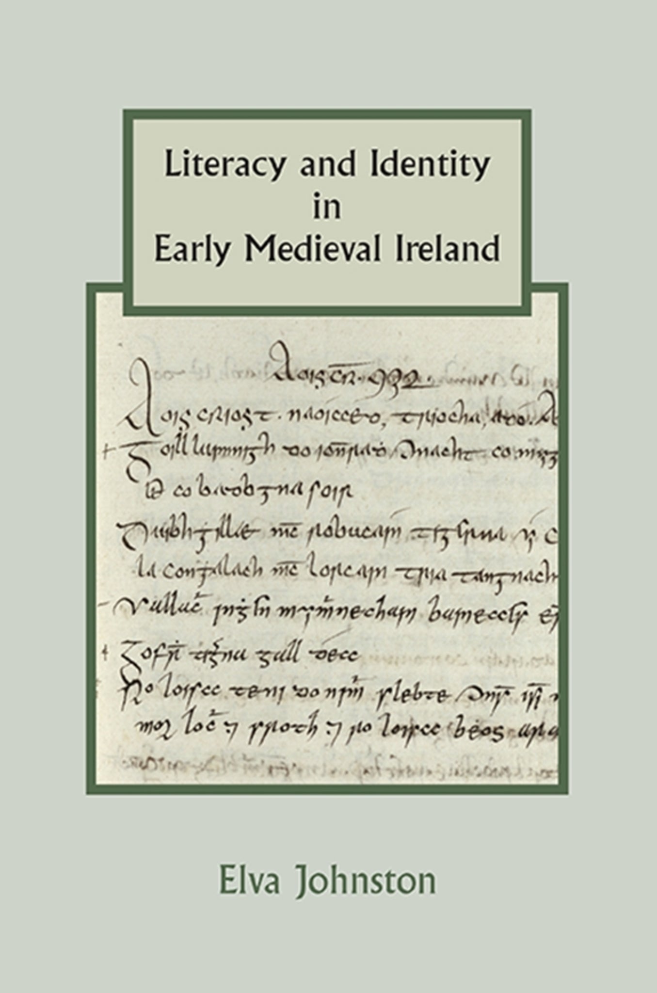 Cover image for Literacy and Identity in Early Medieval Ireland ISBN 9781843838555