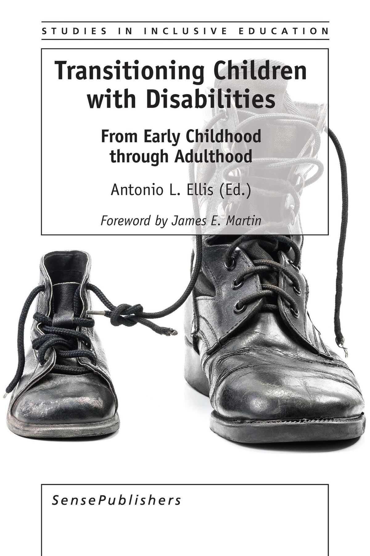 Cover image for Transitioning Children with Disabilities ISBN 9789463511322