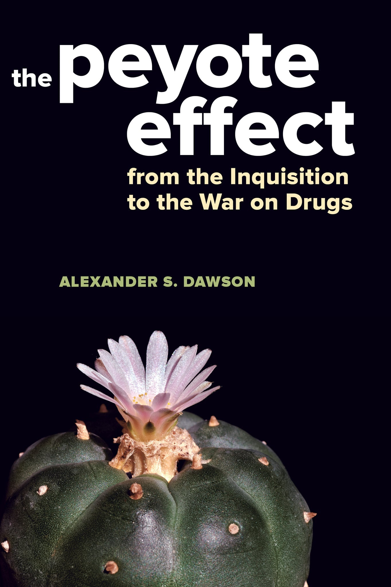 Cover image for The Peyote Effect ISBN 9780520285439