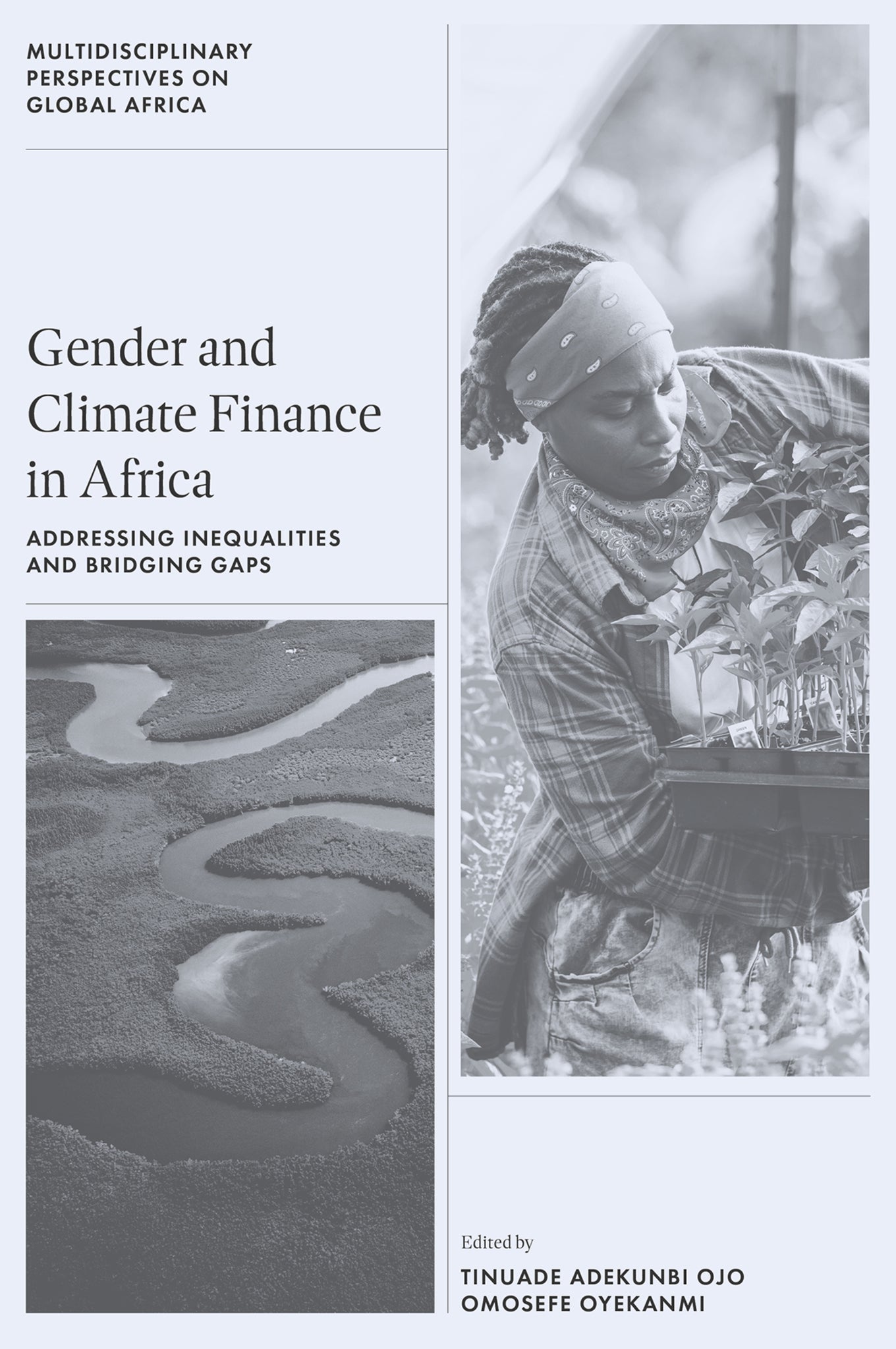 Gender and Climate Finance in Africa