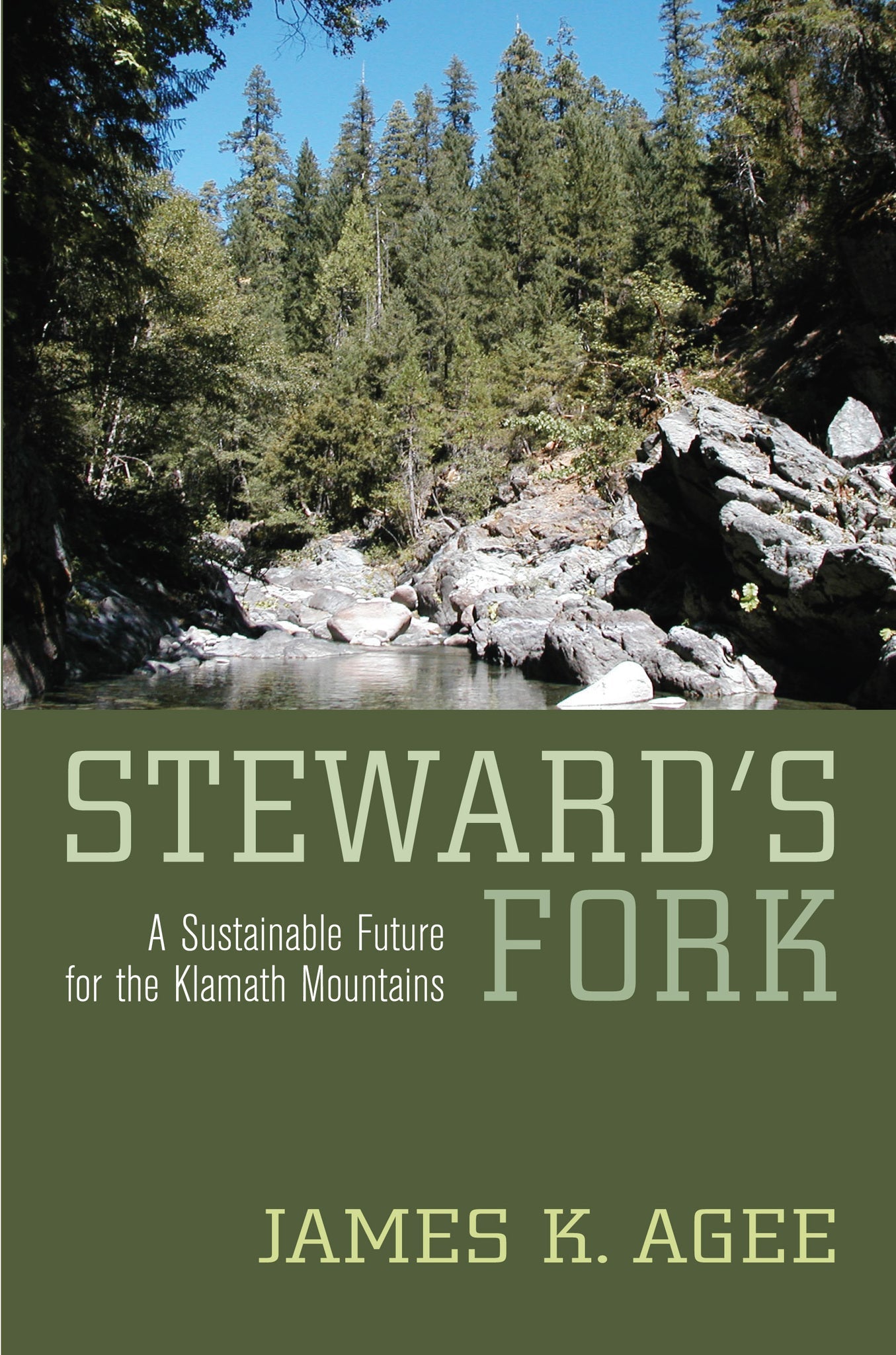 Cover image for Steward's Fork ISBN 9780520933798