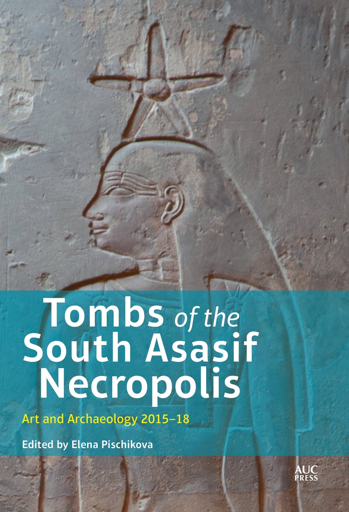 Cover image for Tombs of the South Asasif Necropolis: ISBN 9781649030382