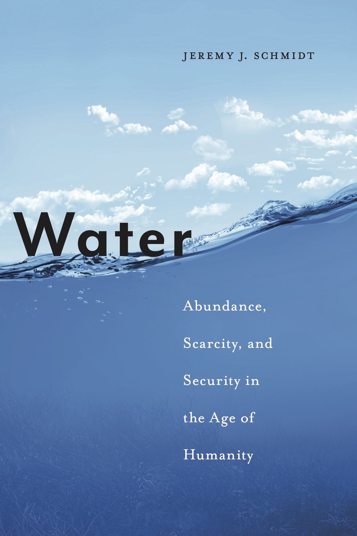 Cover image for Water ISBN 9781479853823