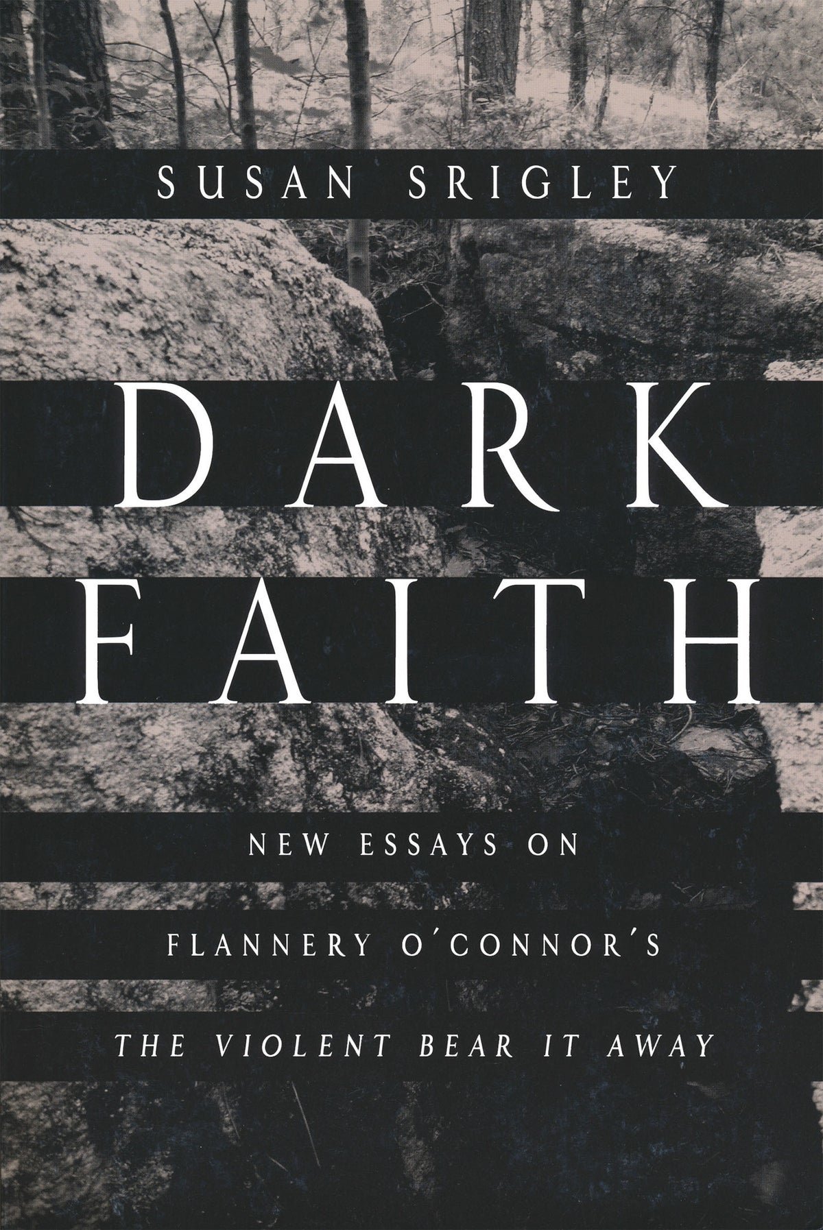 Cover image for Dark Faith ISBN 9780268041380