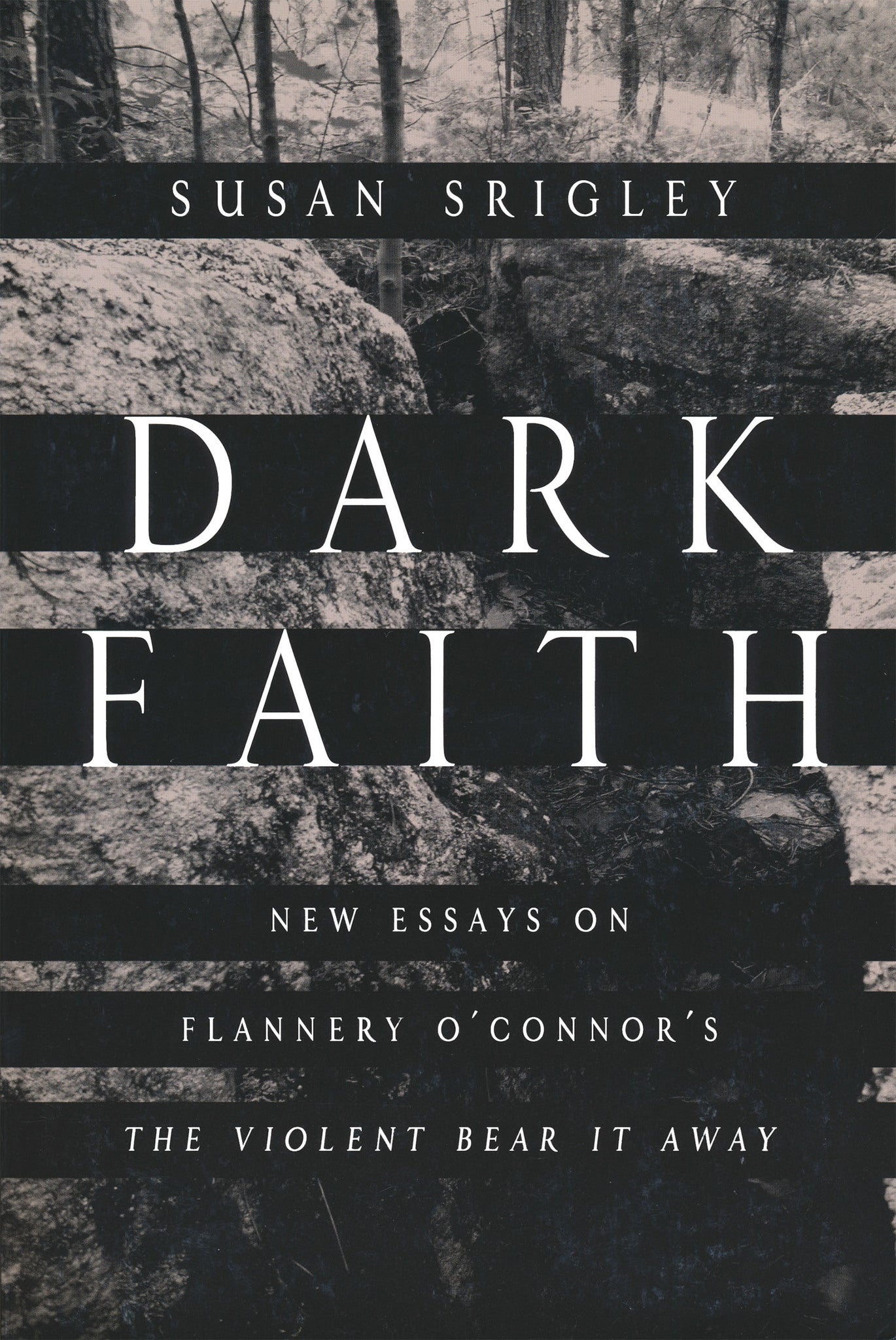 Cover image for Dark Faith ISBN 9780268041380