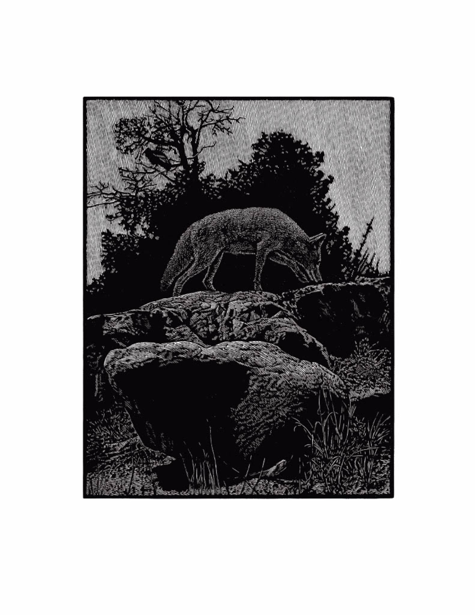 Cover image for Outside ISBN 9781595343192