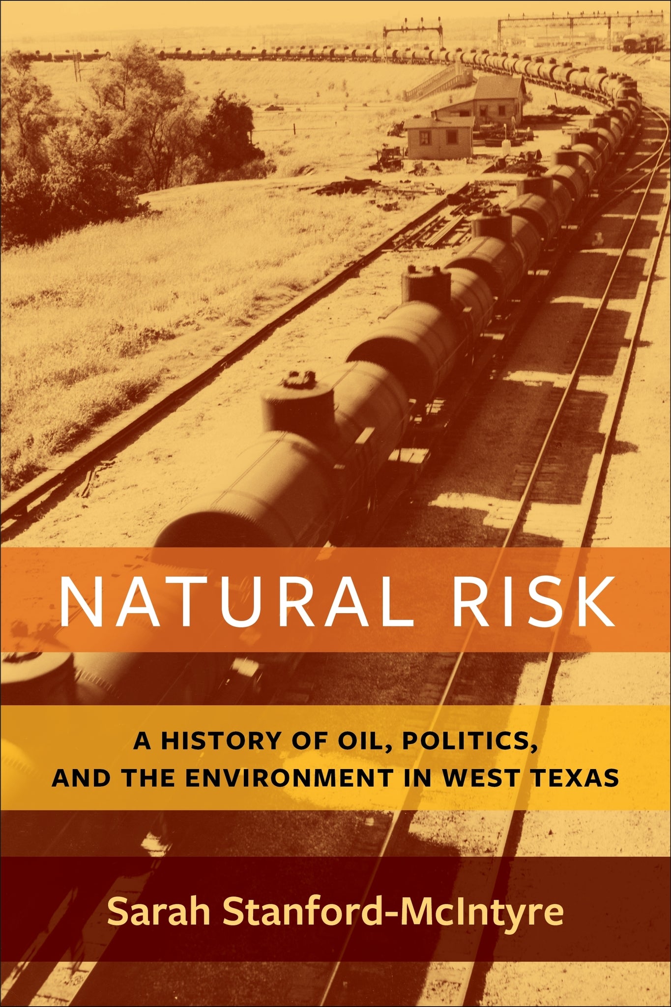 Cover image for Natural Risk ISBN 9780231197366