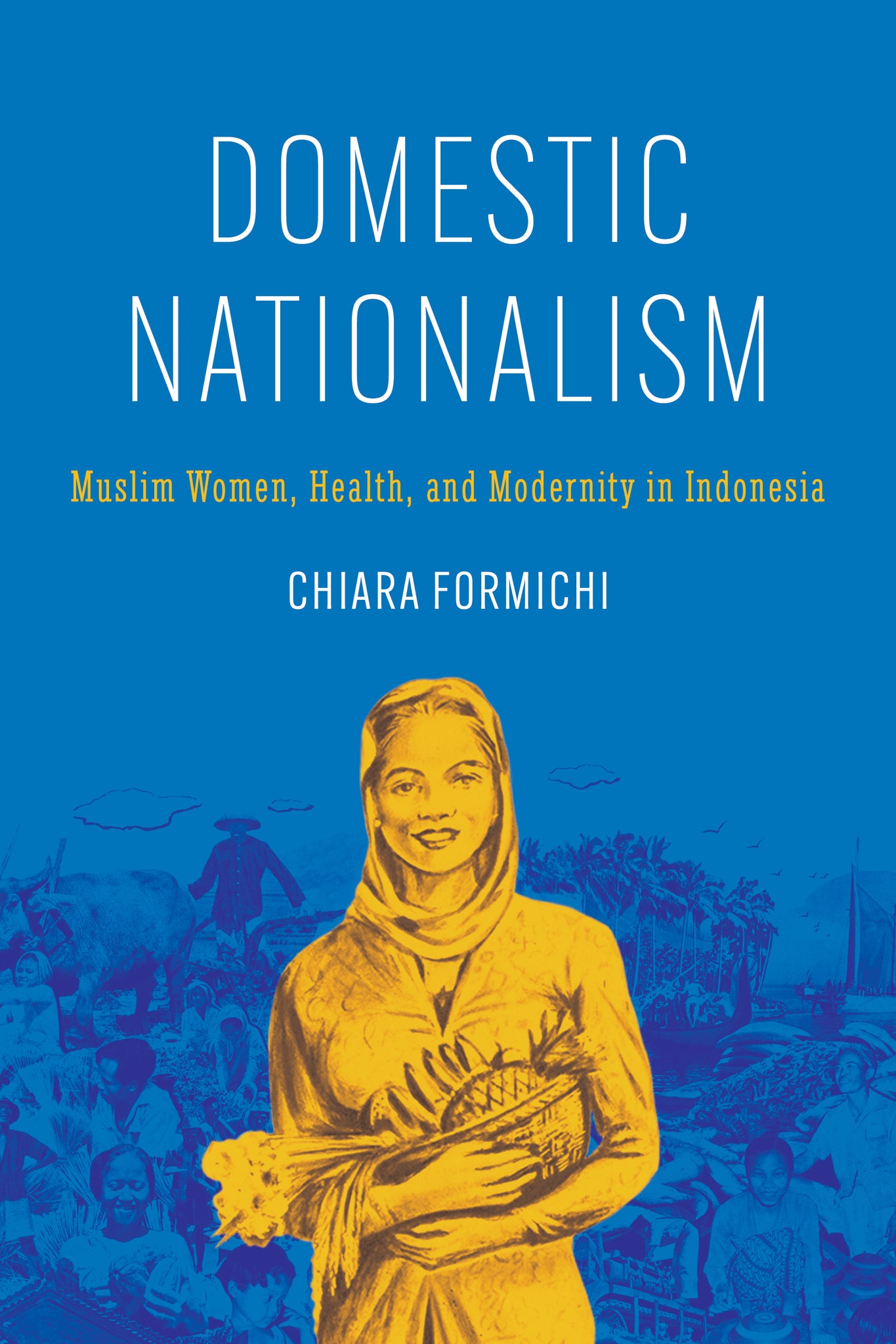 Cover image for Domestic Nationalism ISBN 9781503635241
