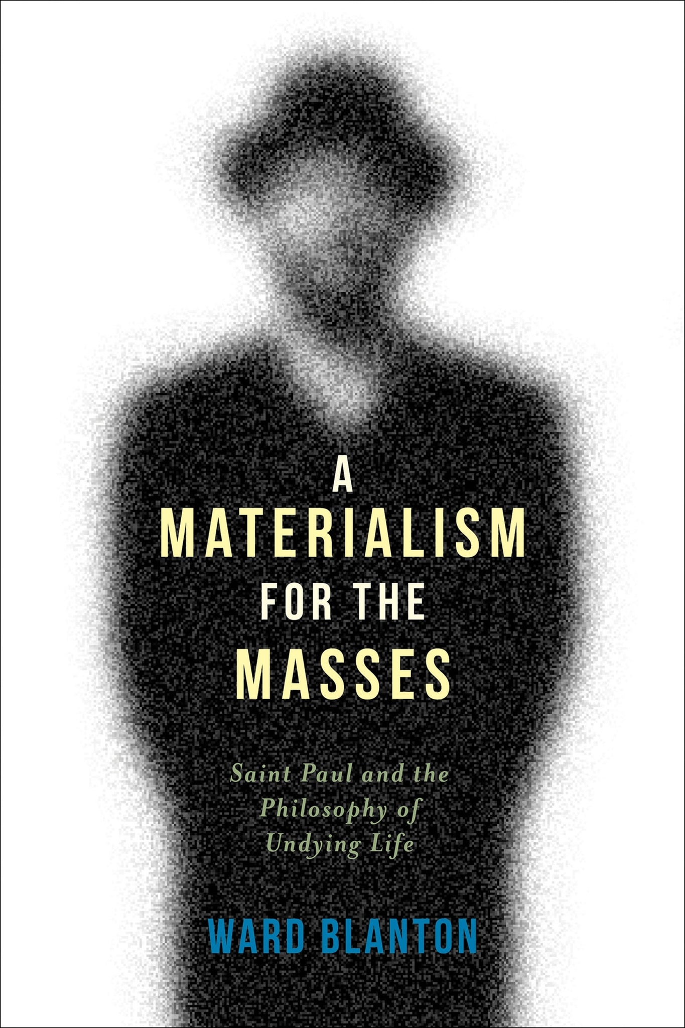 Cover image for A Materialism for the Masses ISBN 9780231166904