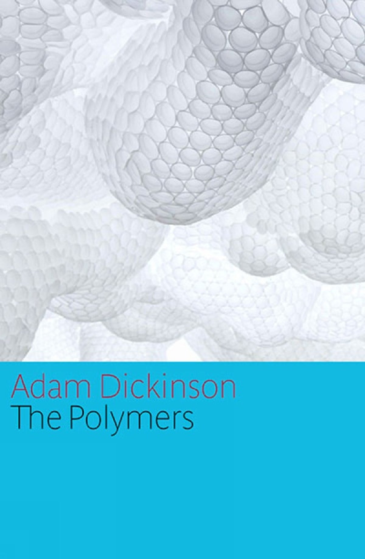 Cover image for The Polymers ISBN 9781770892170