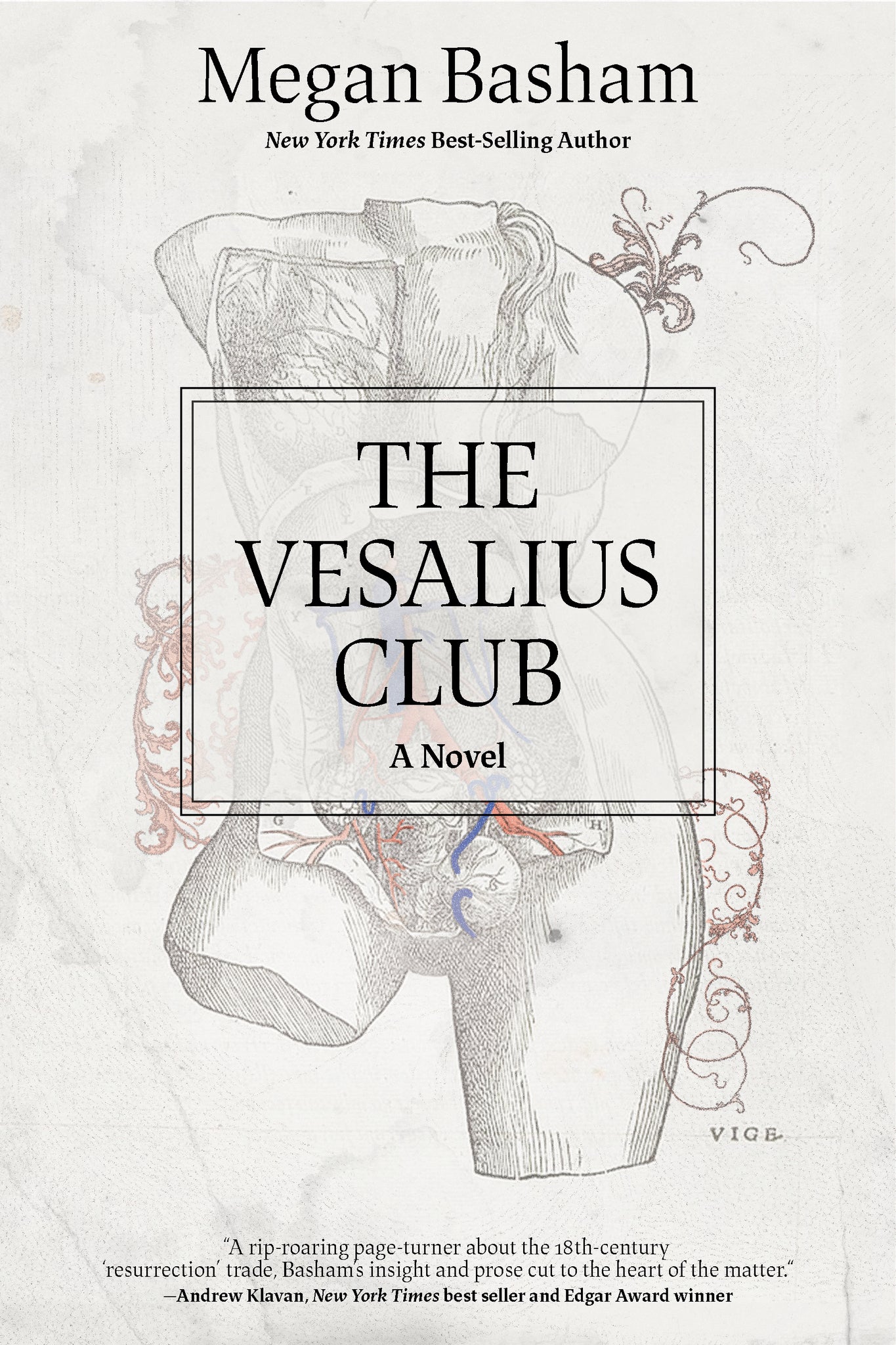 The Vesalius Club