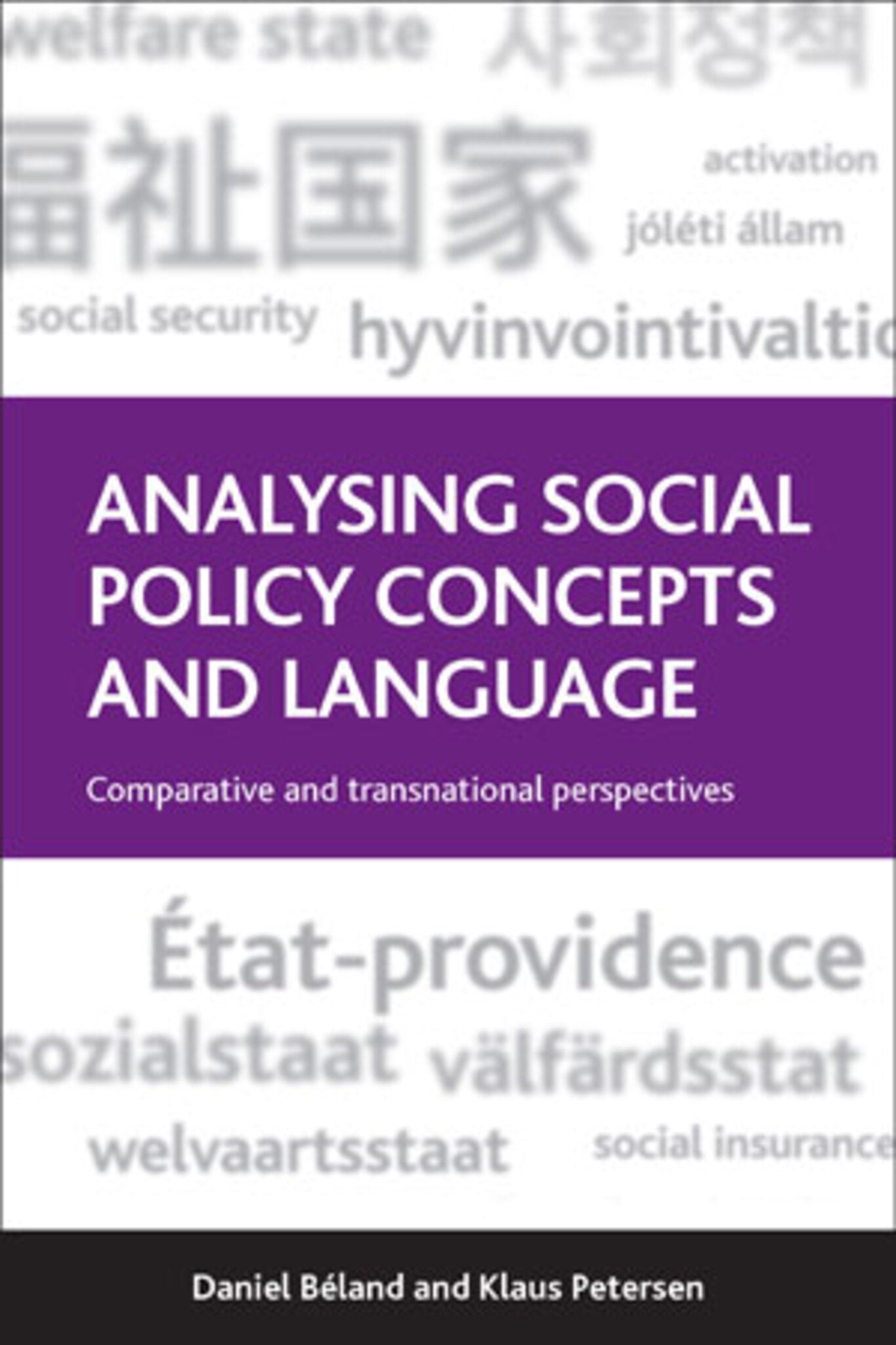 Cover image for Analysing Social Policy Concepts and Language ISBN 9781447306443