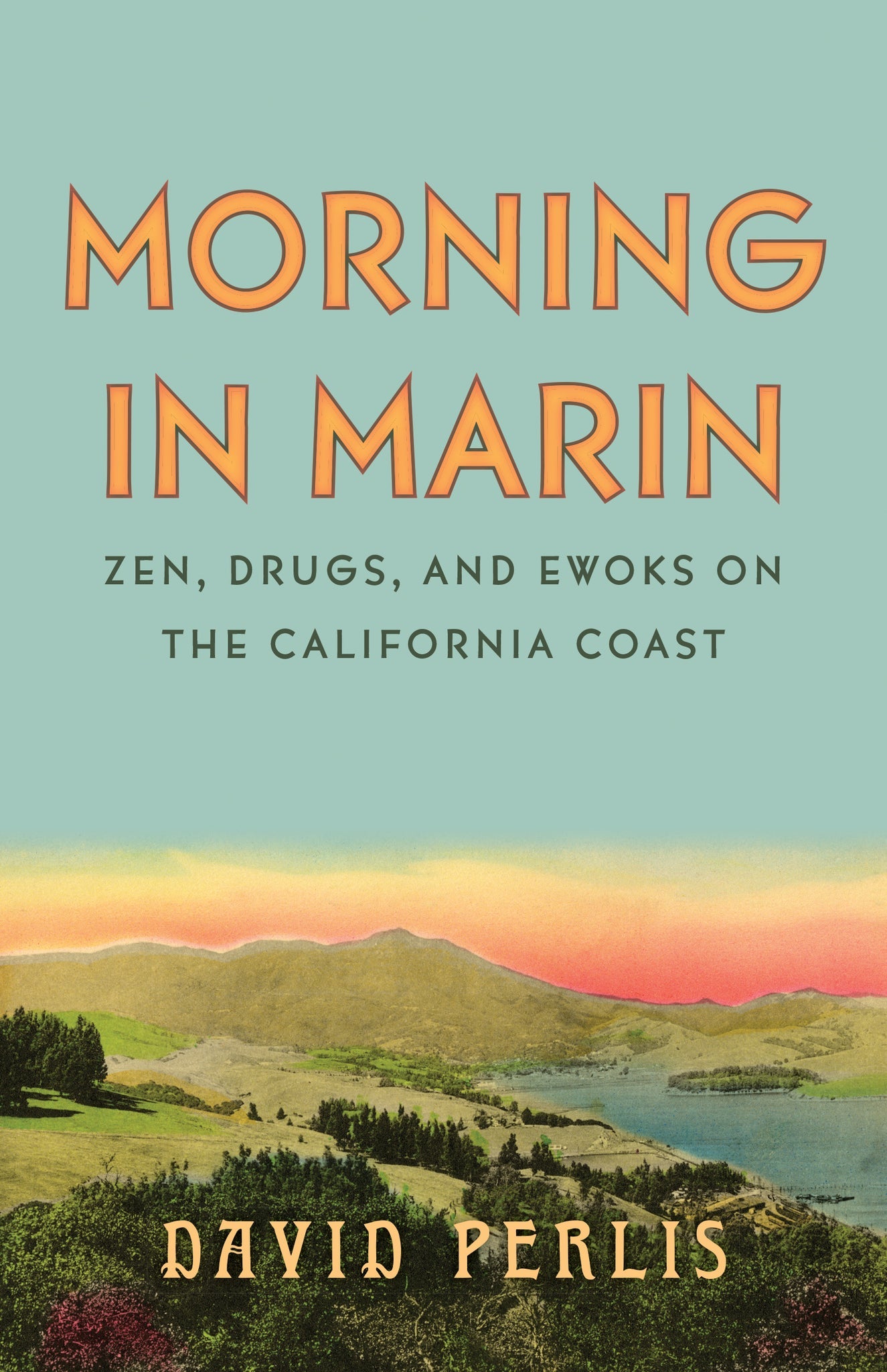 Cover image for Morning in Marin ISBN 9781597147286