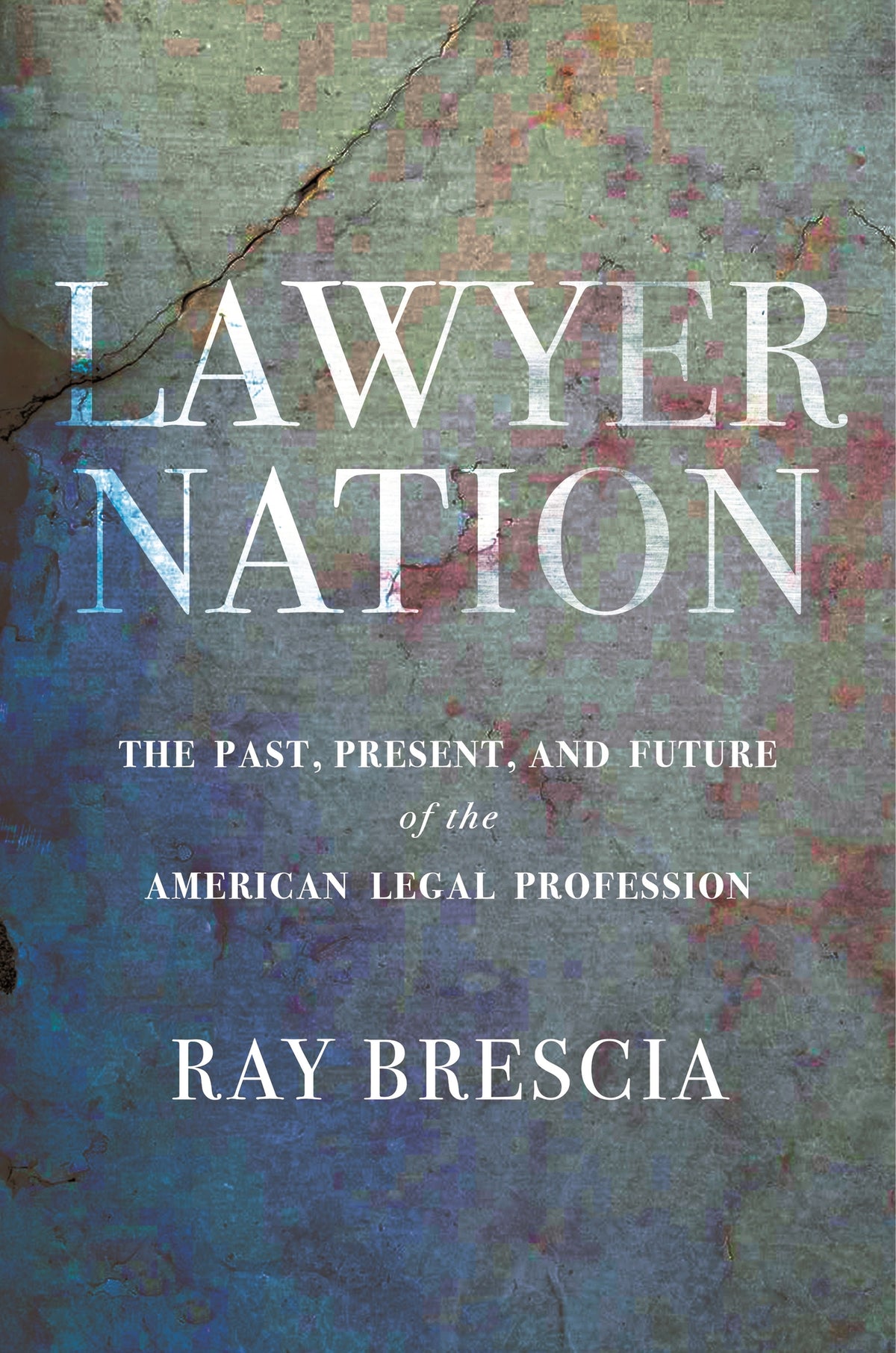 Cover image for Lawyer Nation ISBN 9781479823680