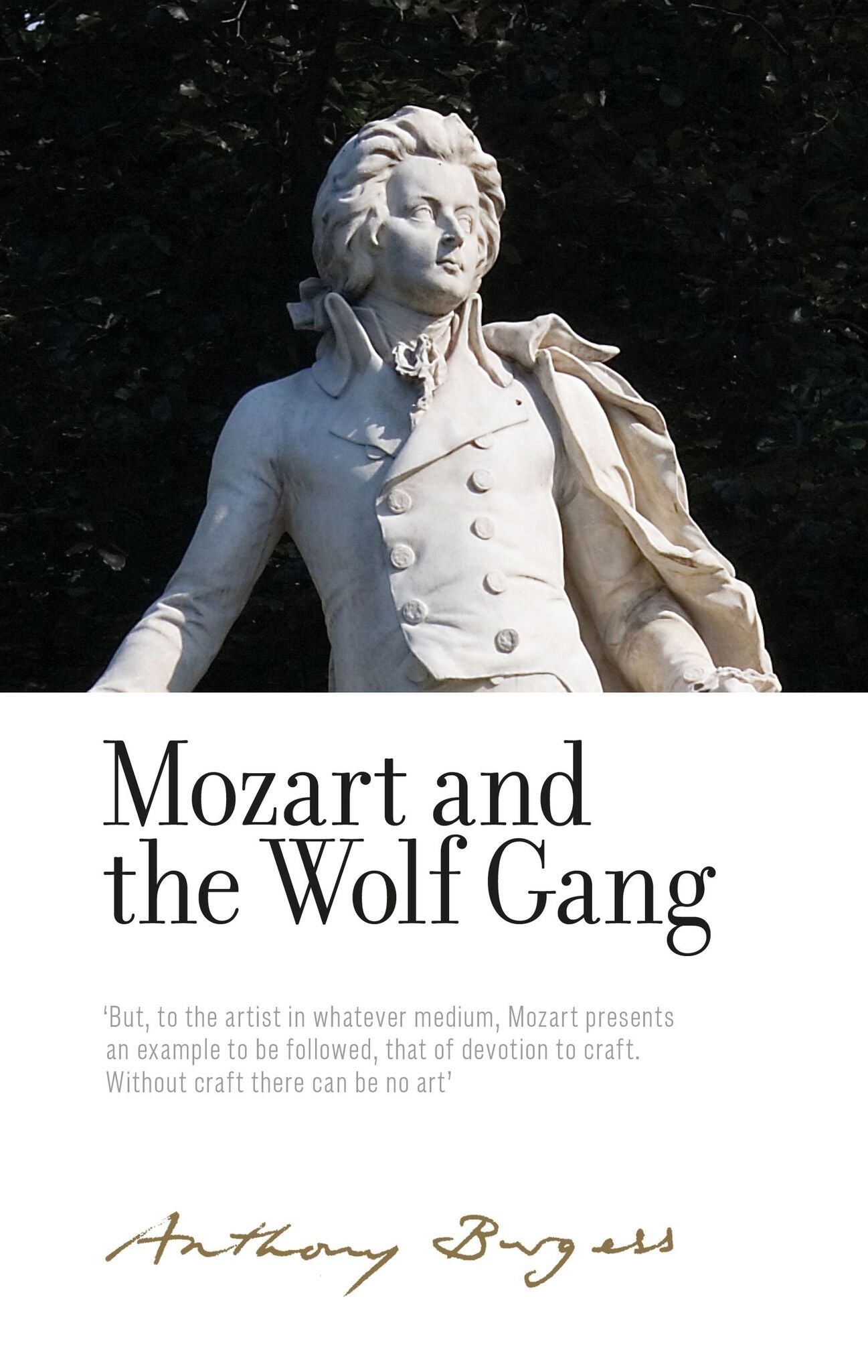 Cover image for Mozart and the Wolf Gang ISBN 9781526132727