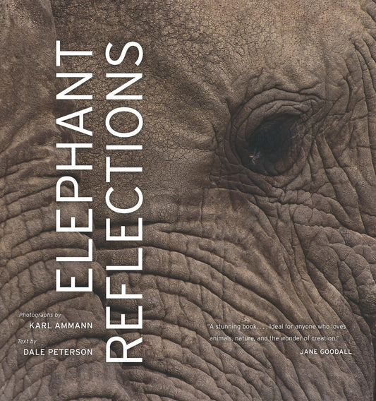Elephant Reflections