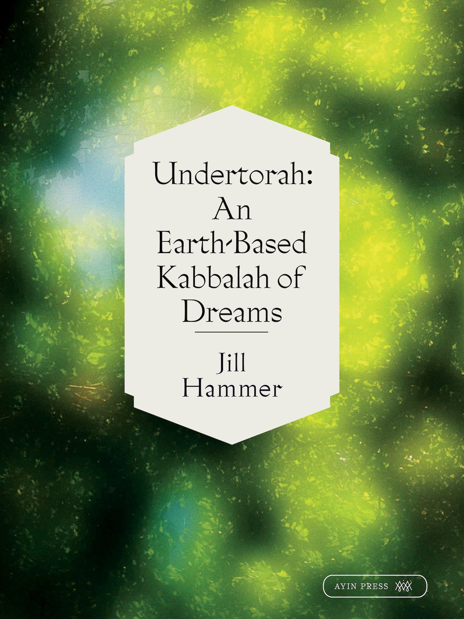 Cover image for Undertorah ISBN 9781532362002