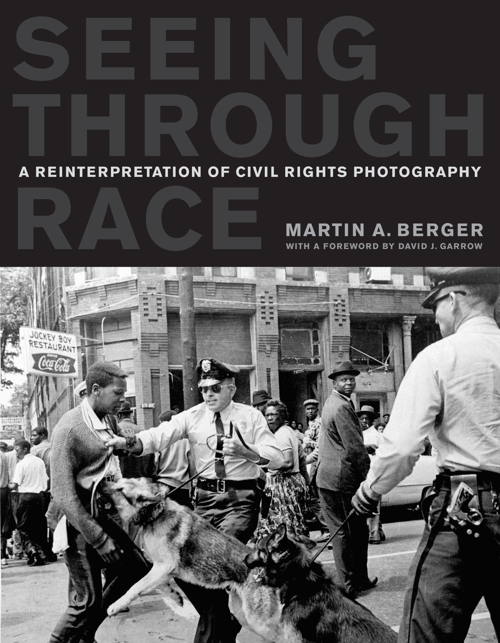 Cover image for Seeing through Race ISBN 9780520268647