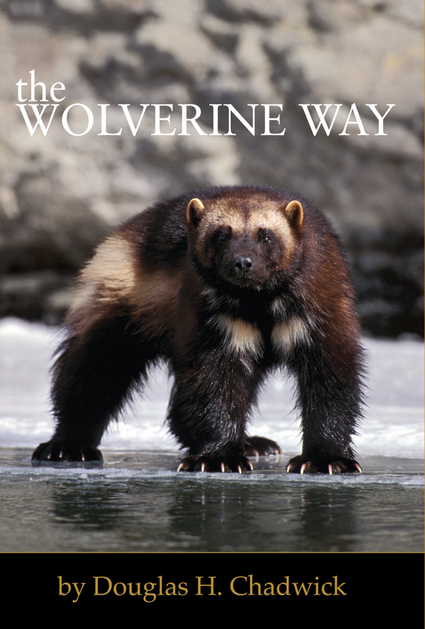 Cover image for The Wolverine Way ISBN