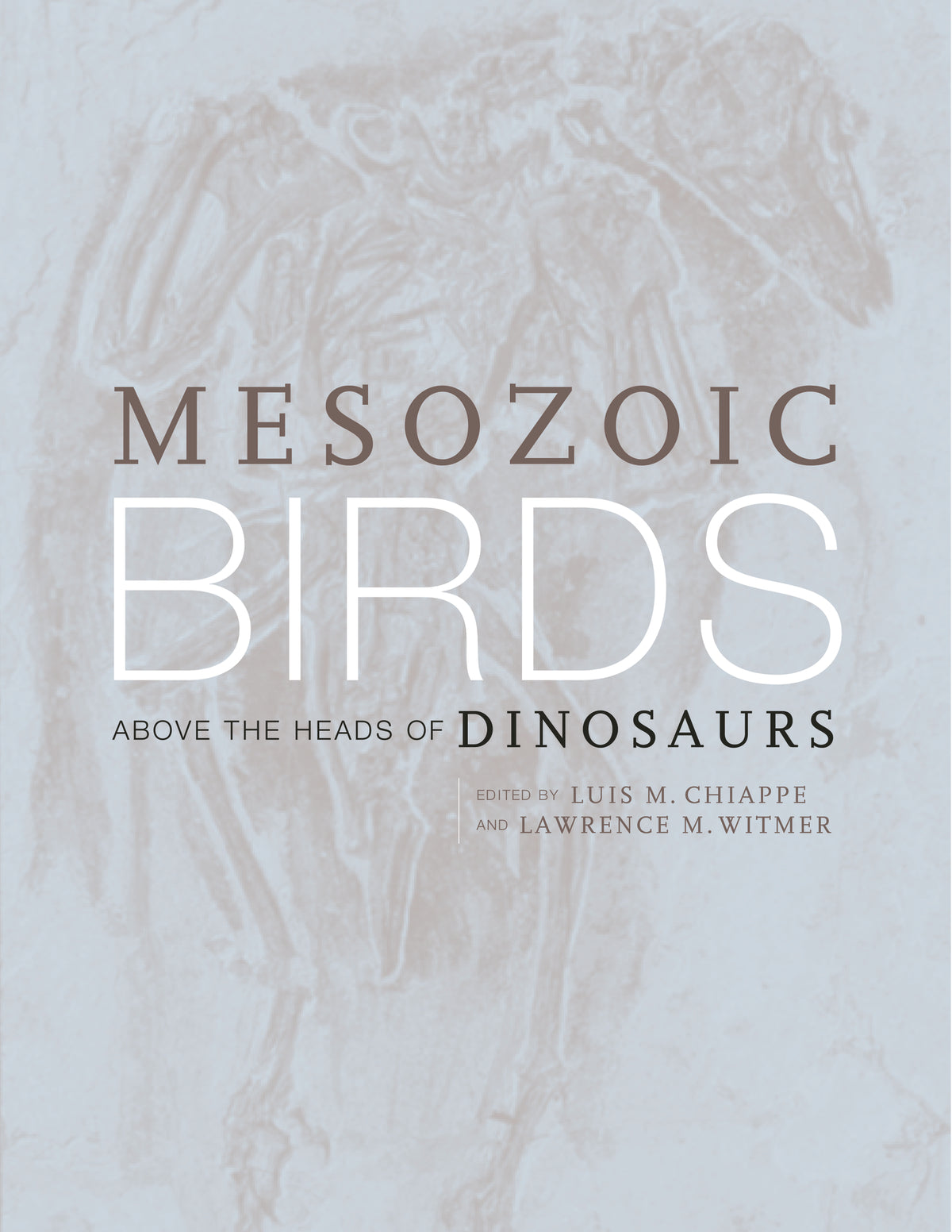 Mesozoic Birds