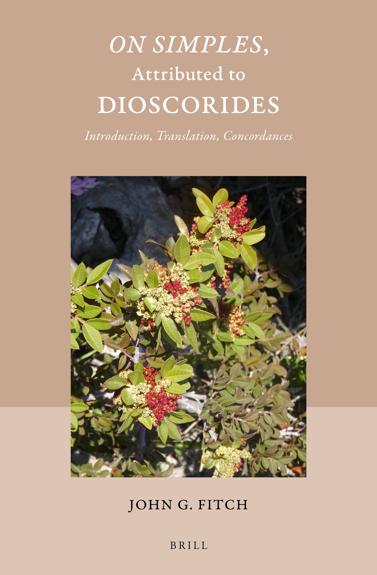Cover image for On Simples, Attributed to Dioscorides ISBN 9789004513716