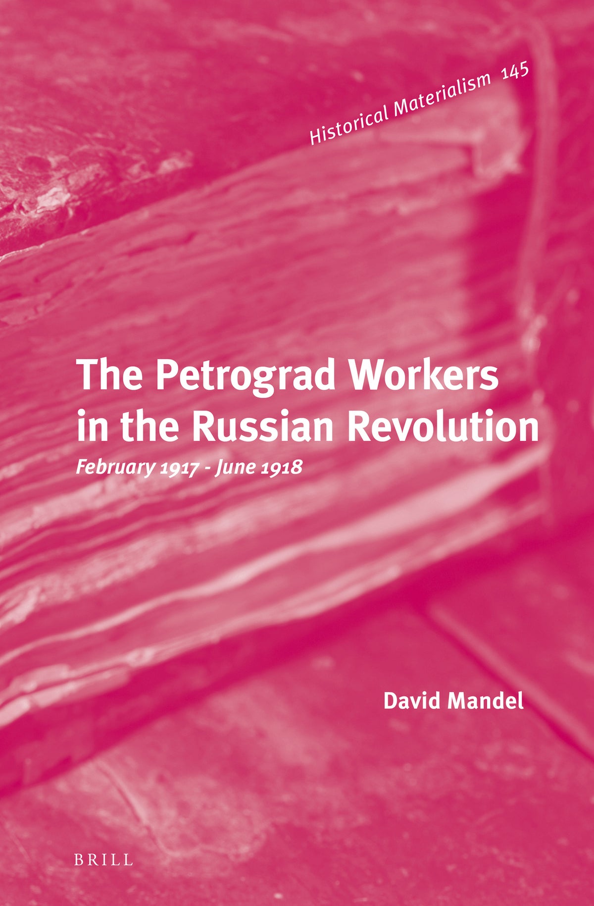 Cover image for The Petrograd Workers in the Russian Revolution ISBN 9789004296992