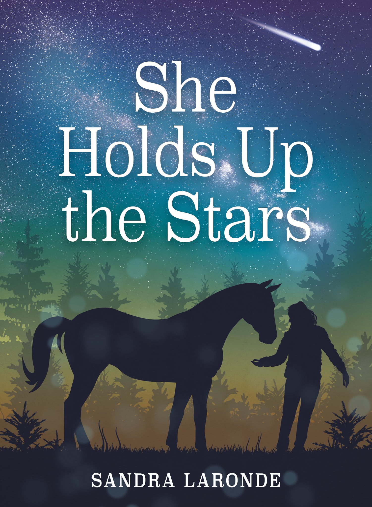 Cover image for She Holds Up the Stars ISBN 9781773210650