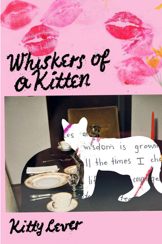 Whiskers of a Kitten