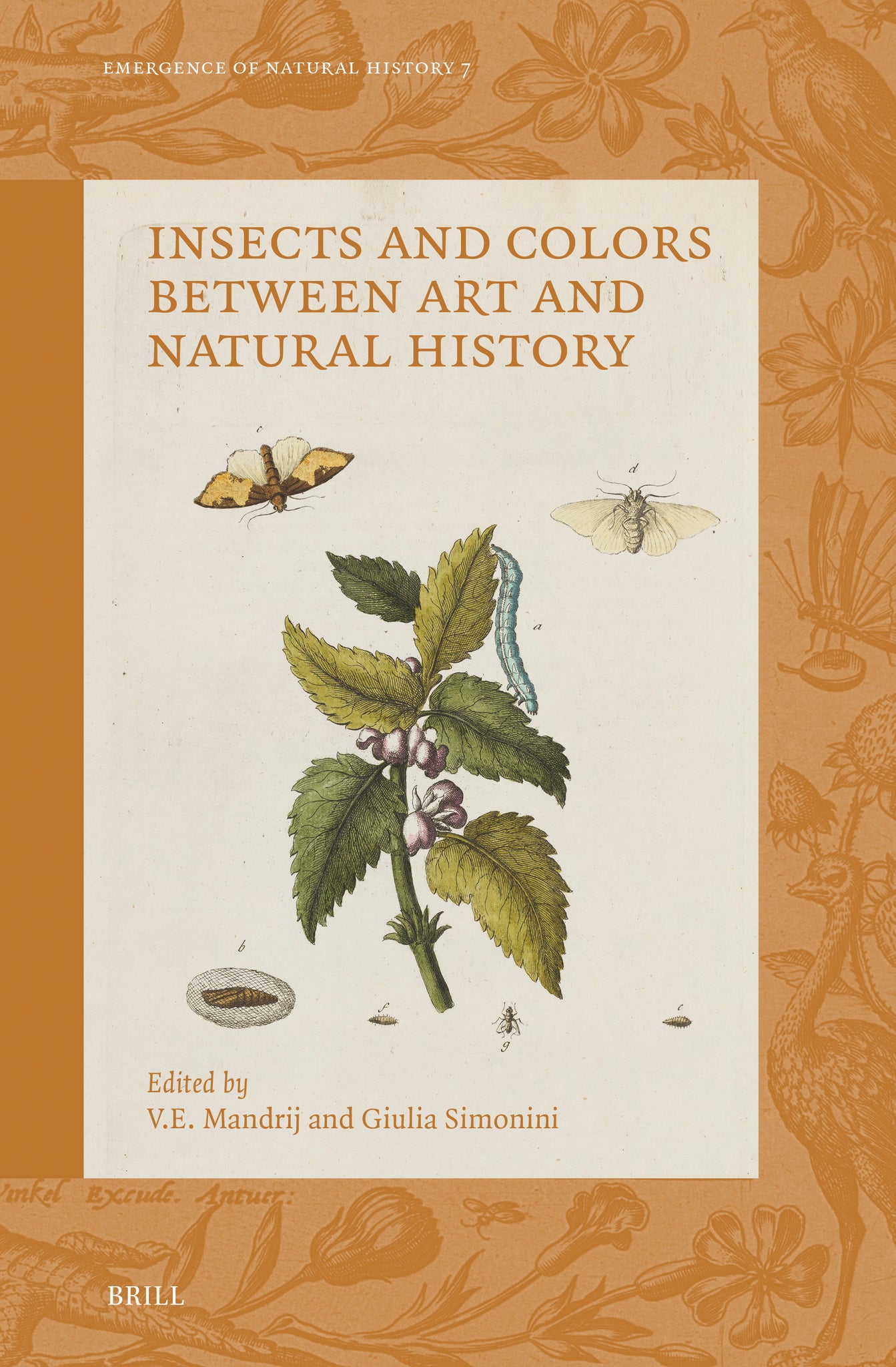 Cover image for Insects and Colors between Art and Natural History ISBN 9789004525115