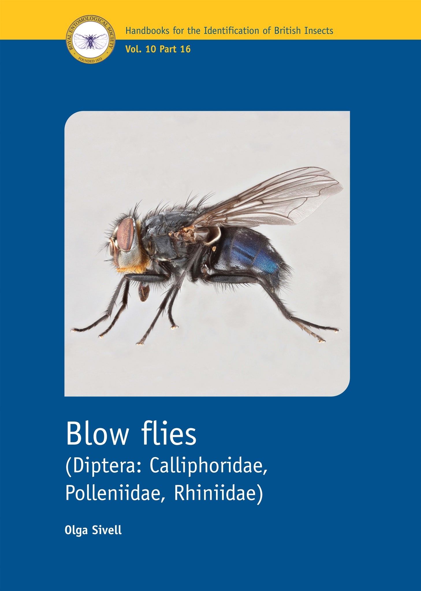 Blow Flies (Diptera: Calliphoridae, Polleniidae, Rhiniidae)