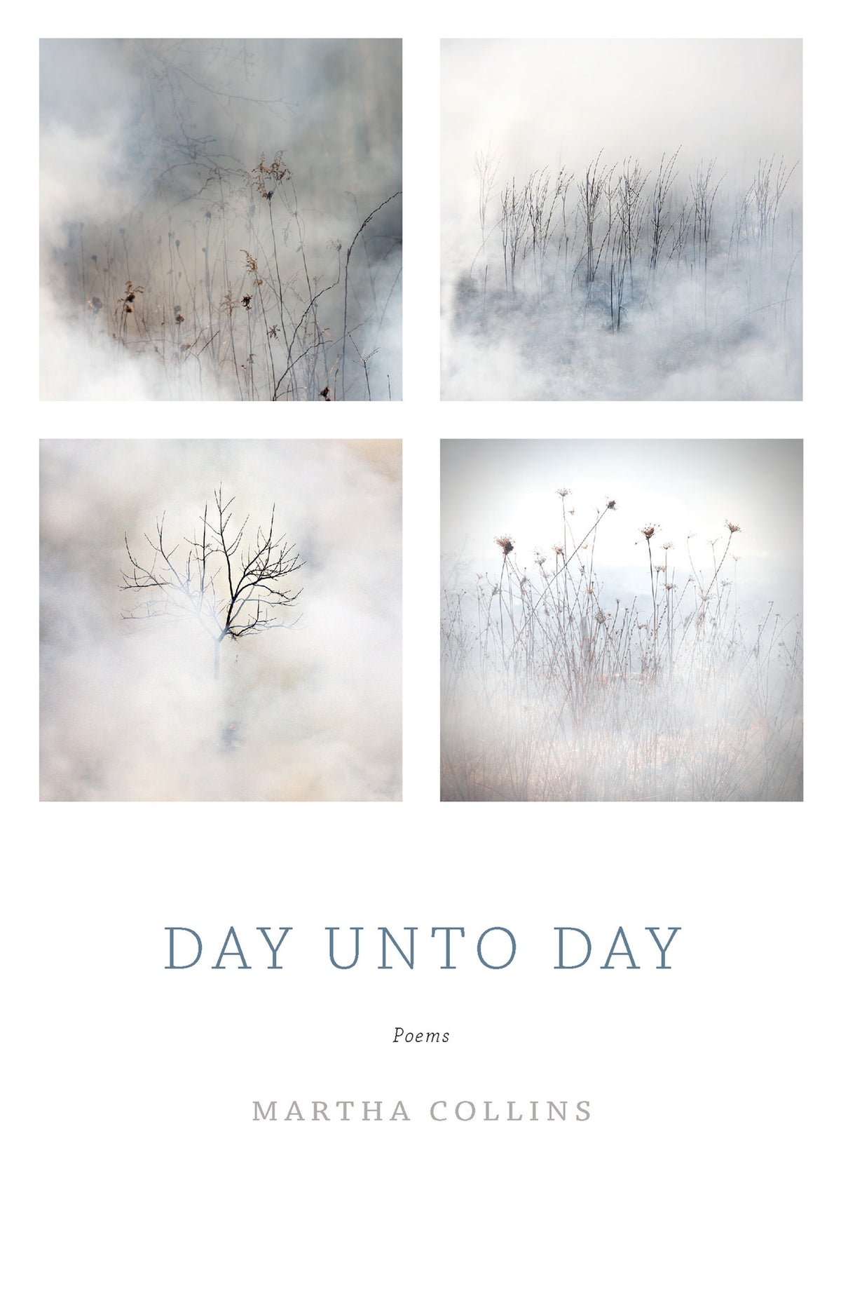 Cover image for Day Unto Day ISBN 9781571314529