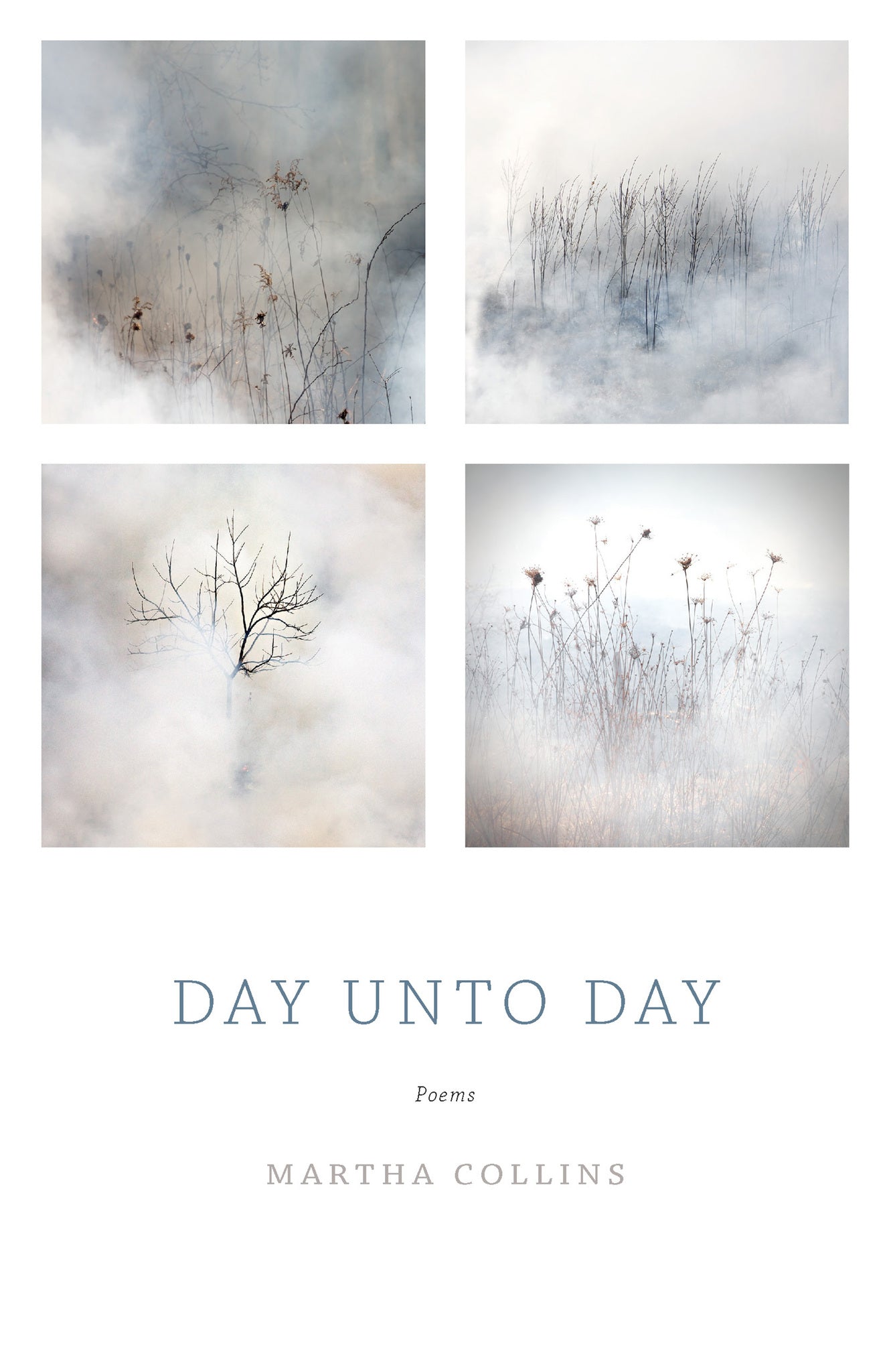 Cover image for Day Unto Day ISBN 9781571314529