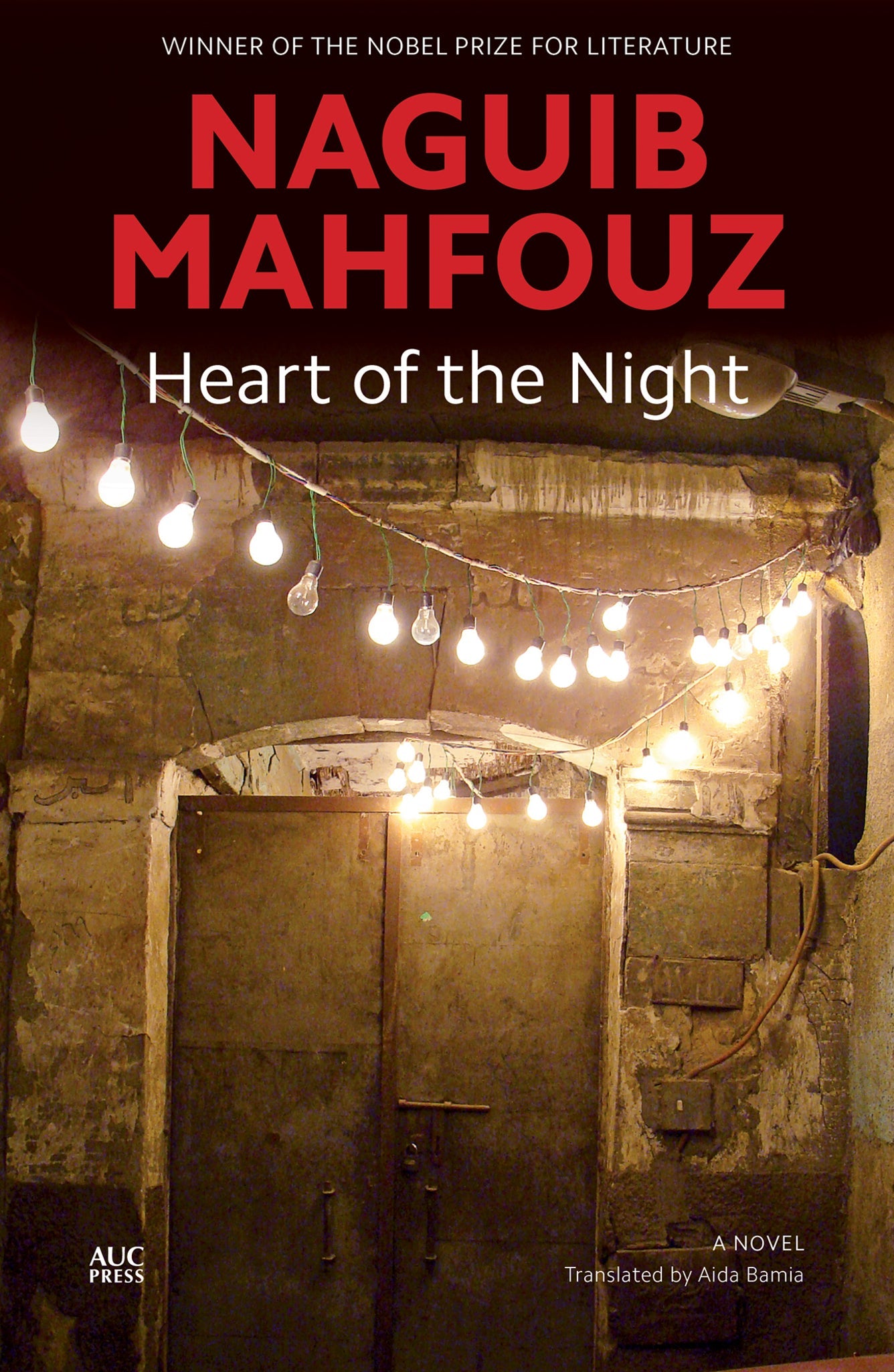 Cover image for Heart of the Night: ISBN 9781617973062