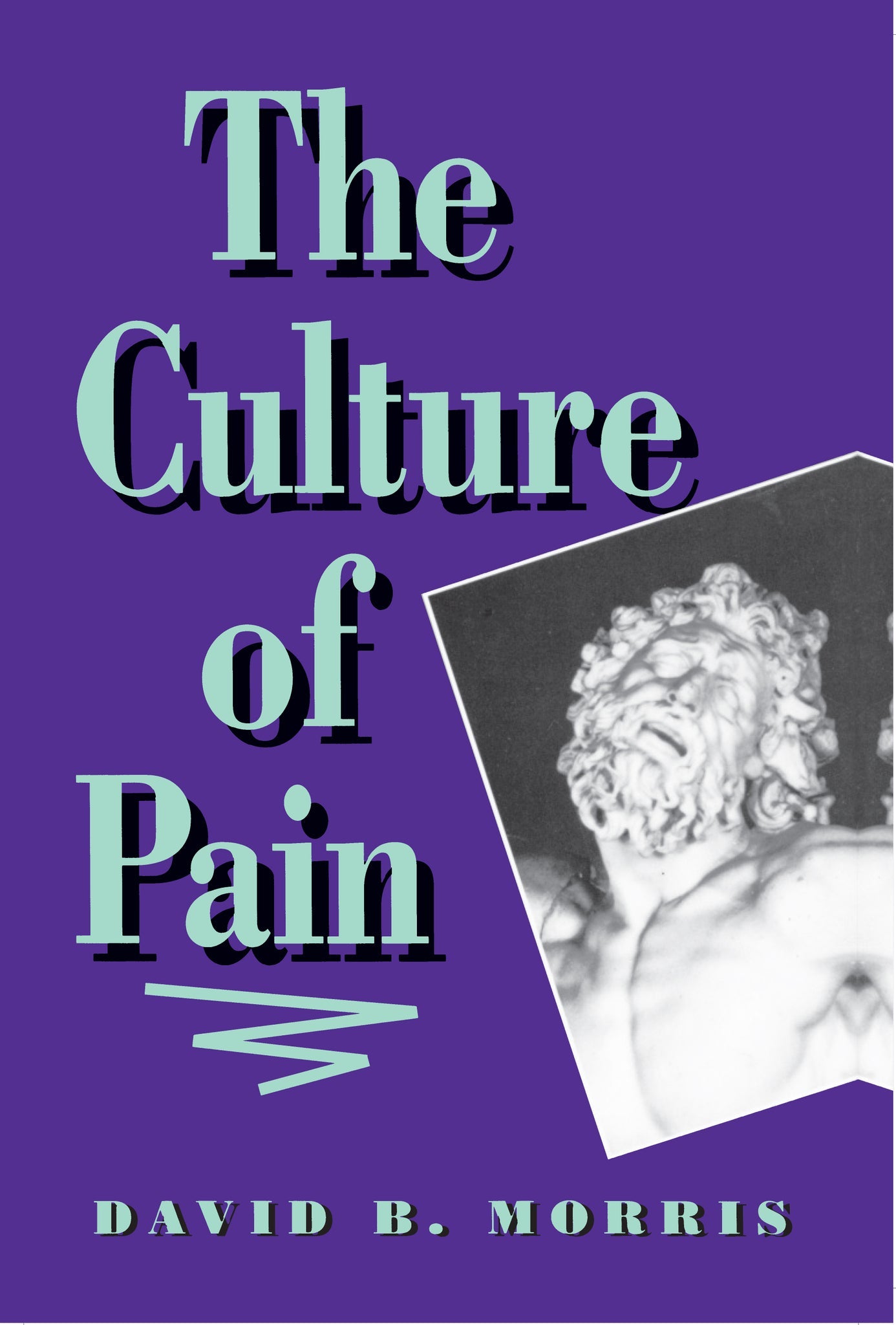 Cover image for The Culture of Pain ISBN 9780520913820