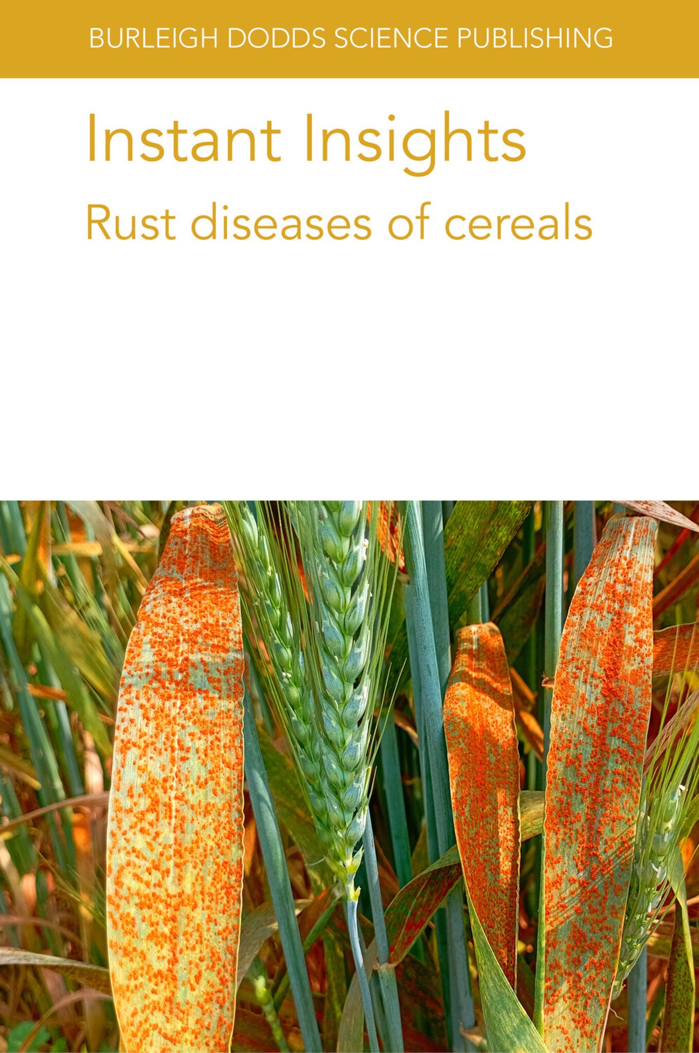 Cover image for Instant Insights: Rust diseases of cereals ISBN 9781801466349