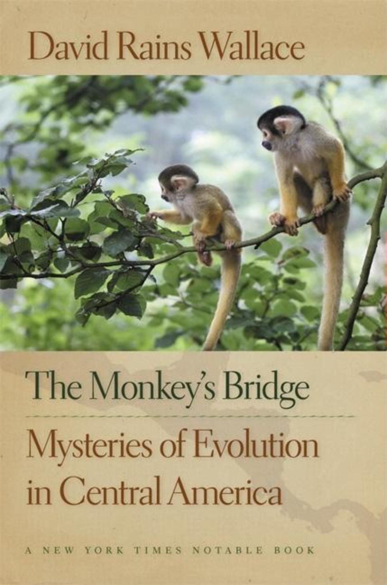 Cover image for The Monkey's Bridge ISBN 9781595340405