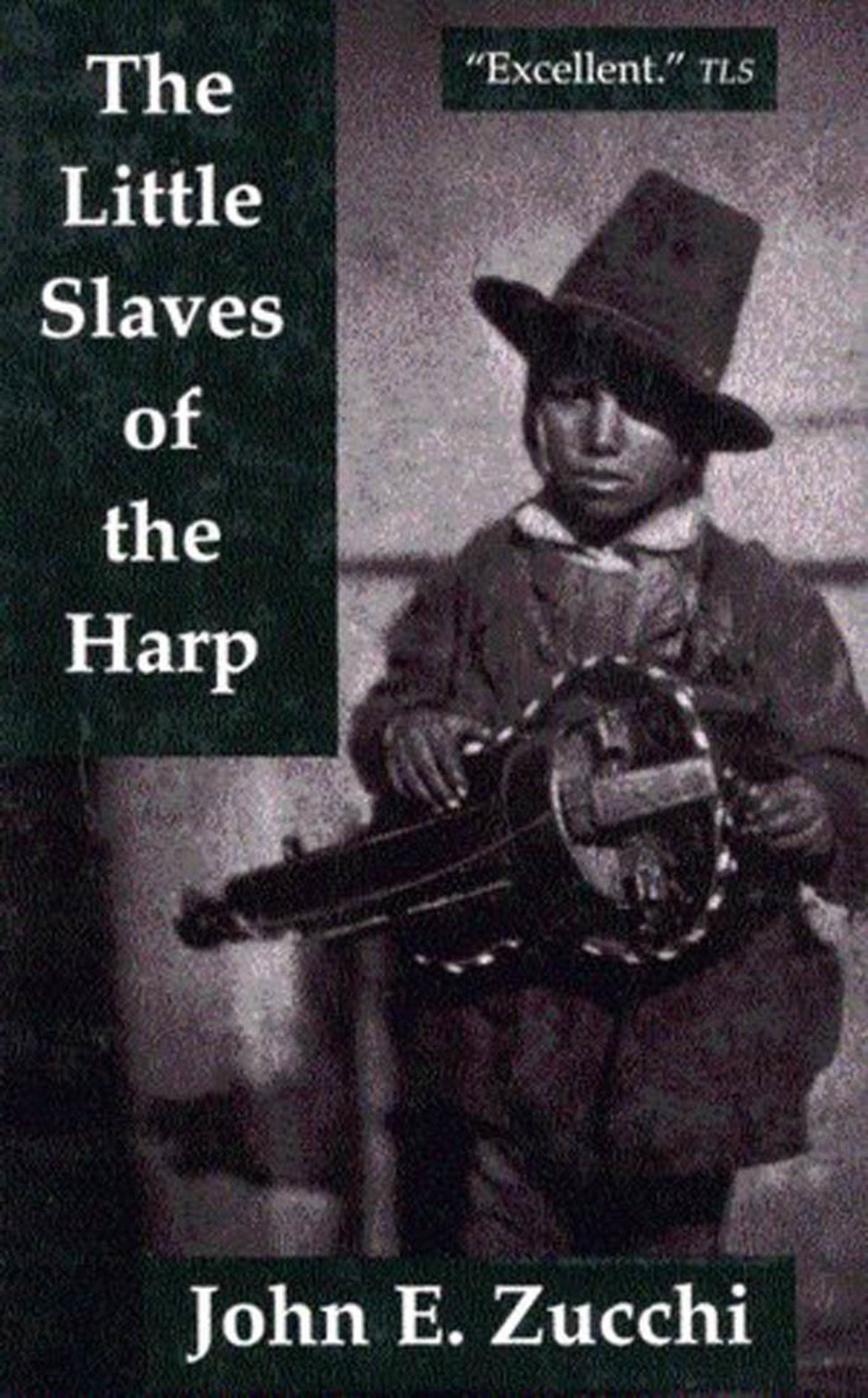 Cover image for The Little Slaves of the Harp ISBN 9780773563261