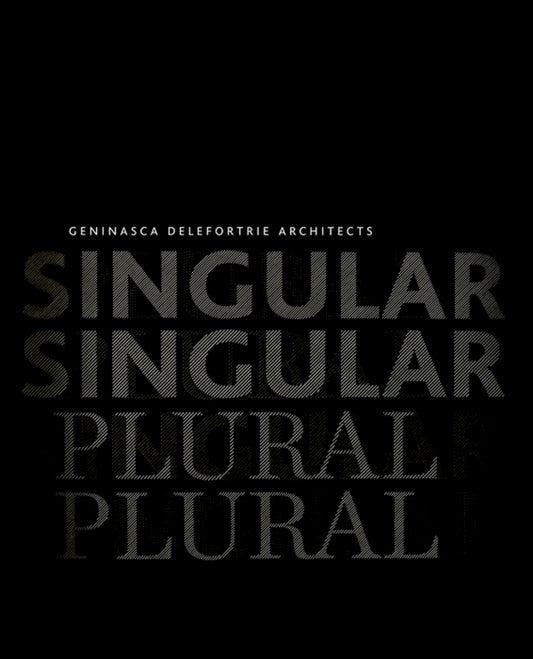 singular & plural