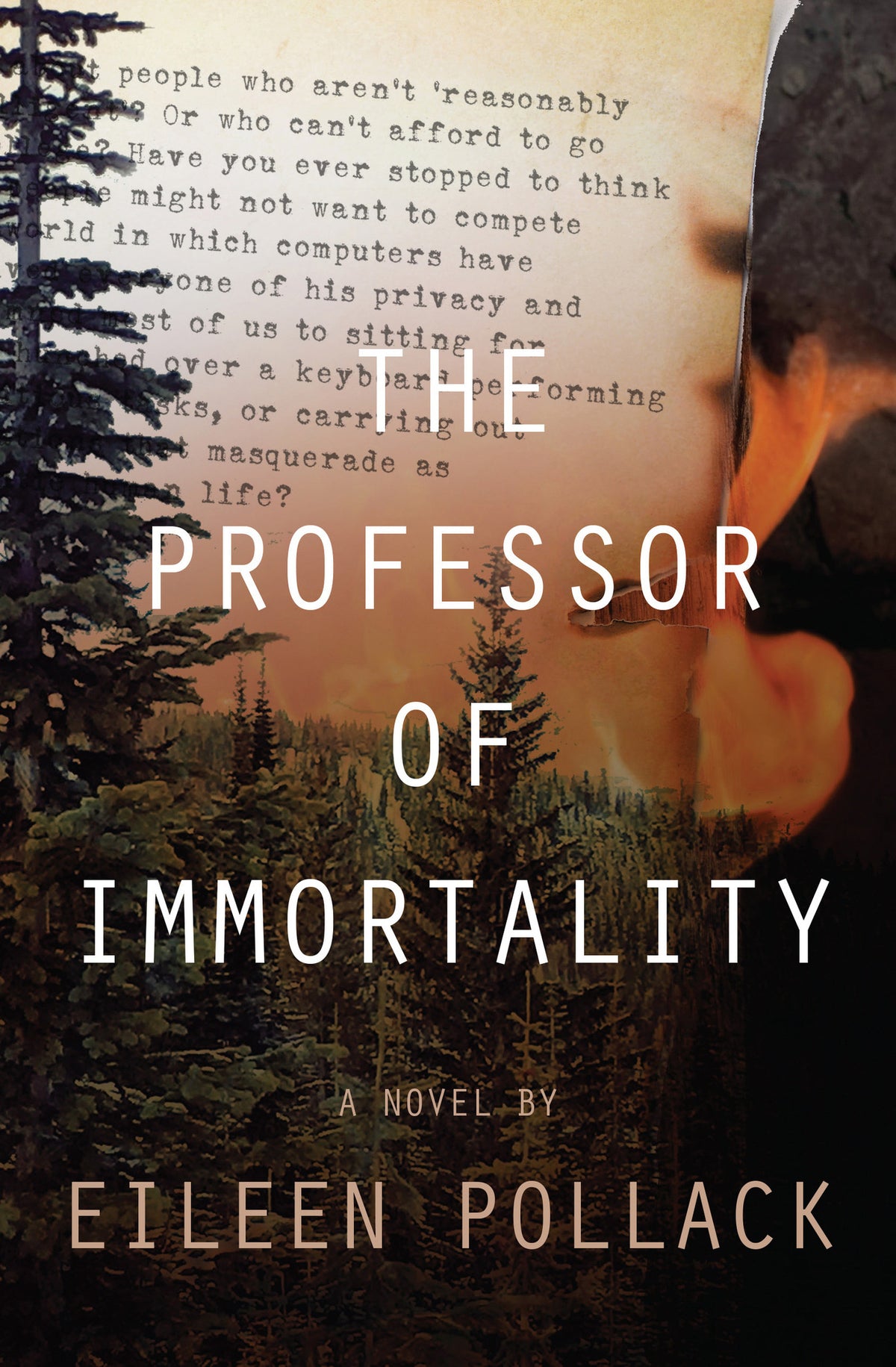 Cover image for The Professor of Immortality A Novel ISBN 9781883285821