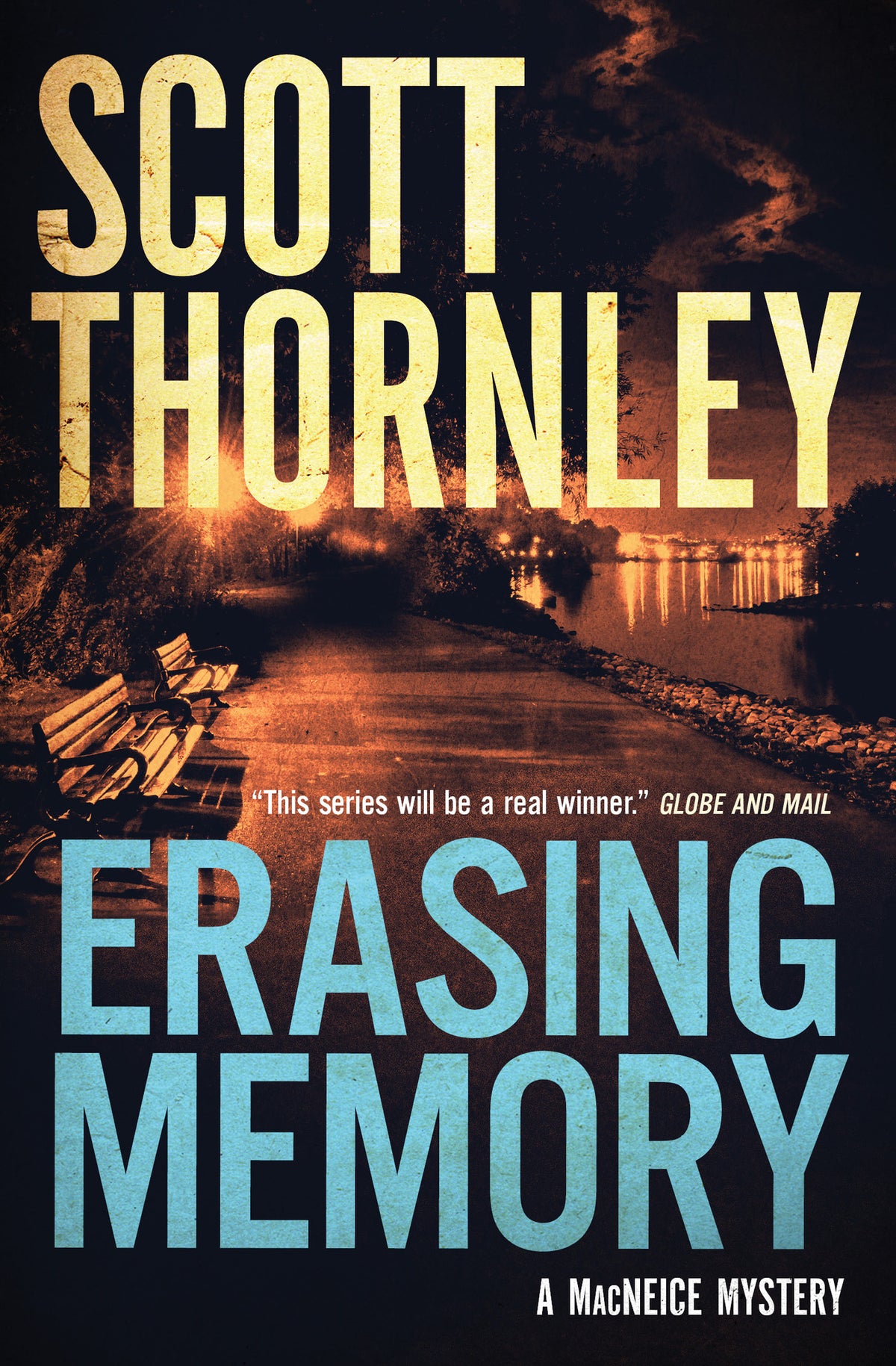 Cover image for Erasing Memory ISBN 9781487003296