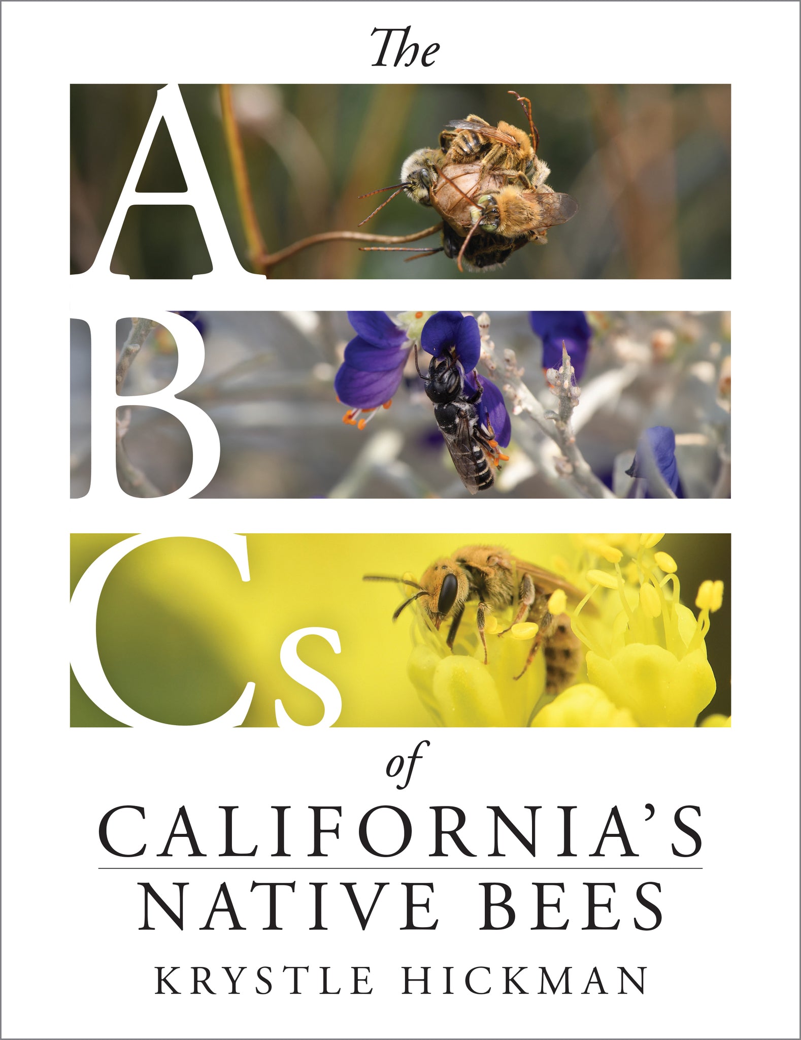 Cover image for The ABCs of California's Native Bees ISBN 9781597146814