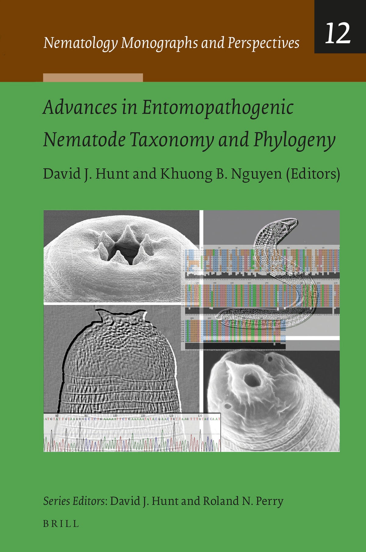 Cover image for Advances in Entomopathogenic Nematode Taxonomy and Phylogeny ISBN 9789004285330