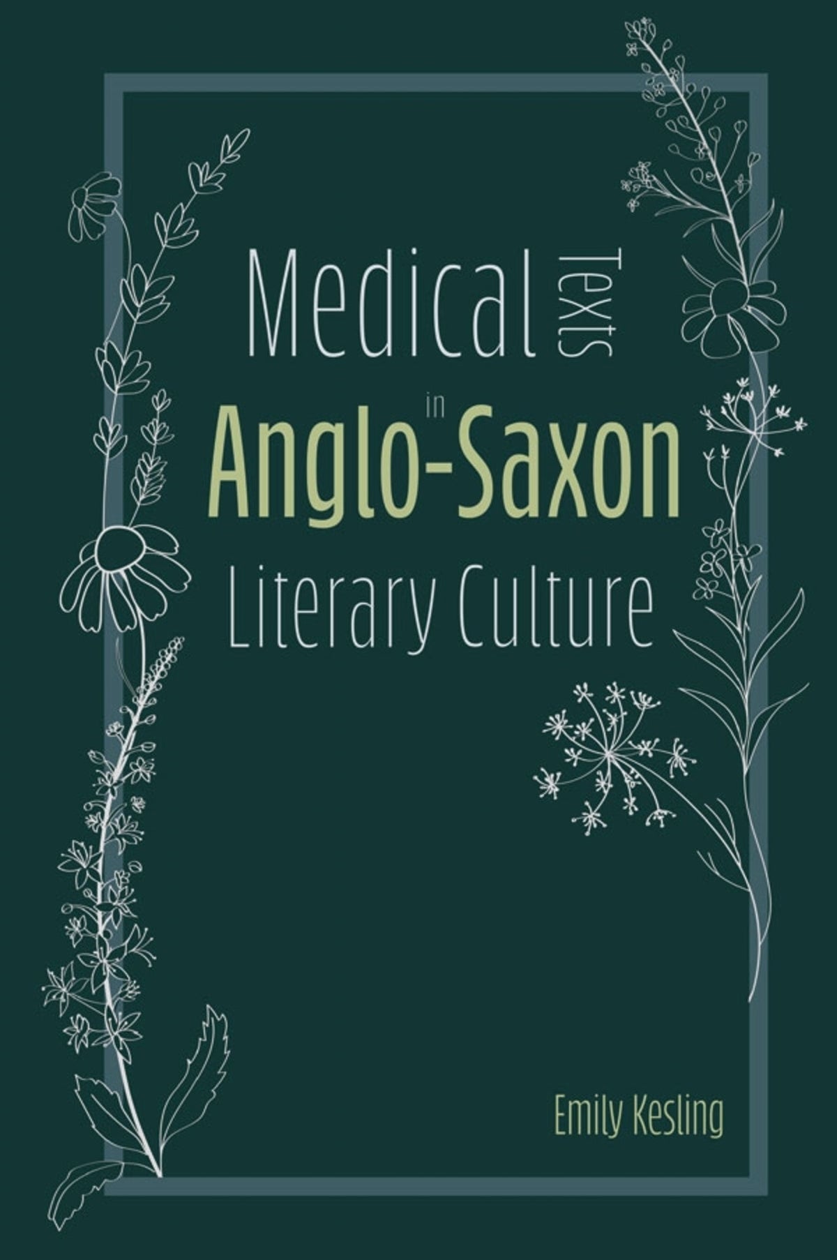 Cover image for Medical Texts in Anglo-Saxon Literary Culture ISBN 9781843846833