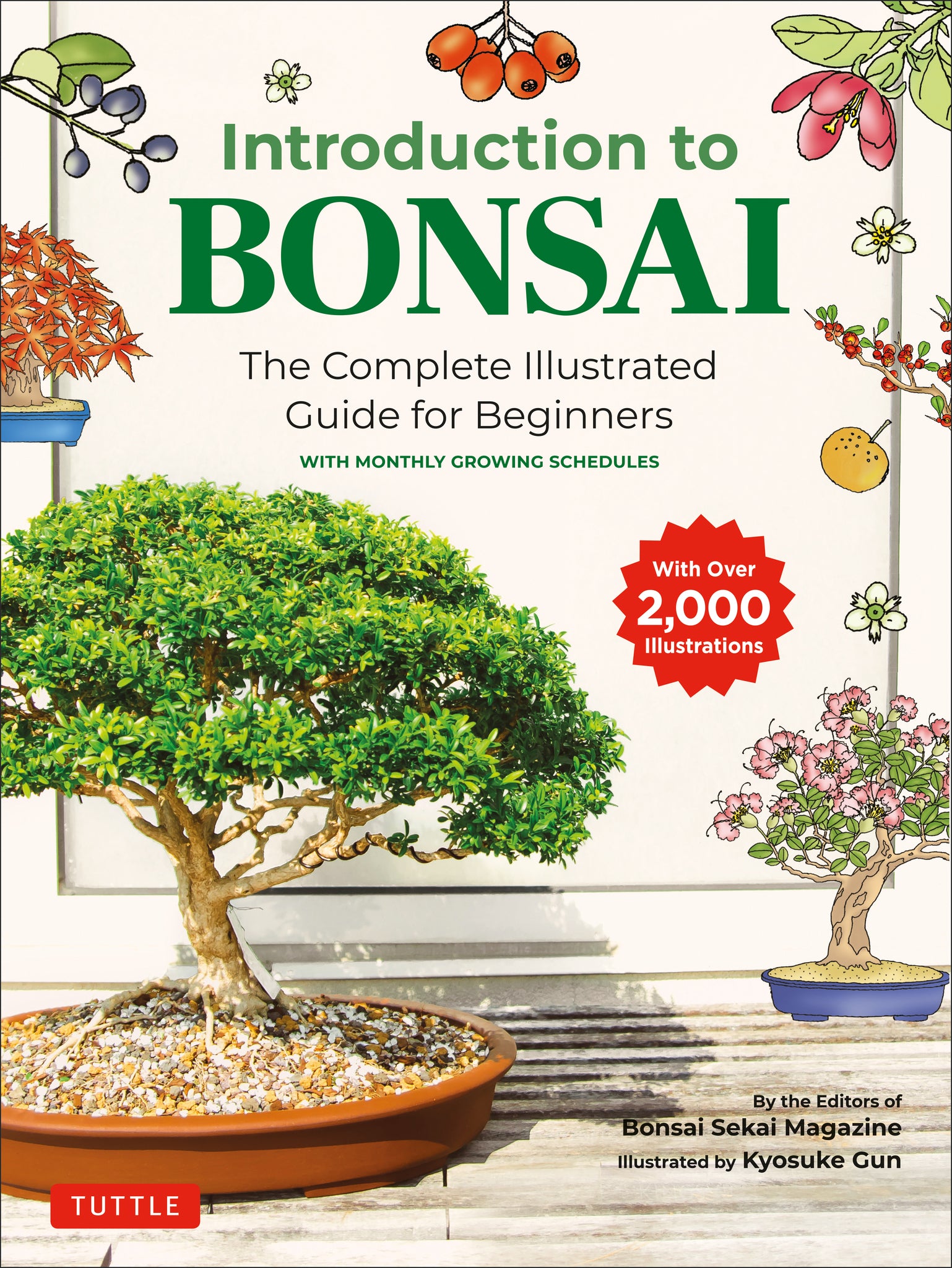 Cover image for Introduction to Bonsai ISBN 9784805315446