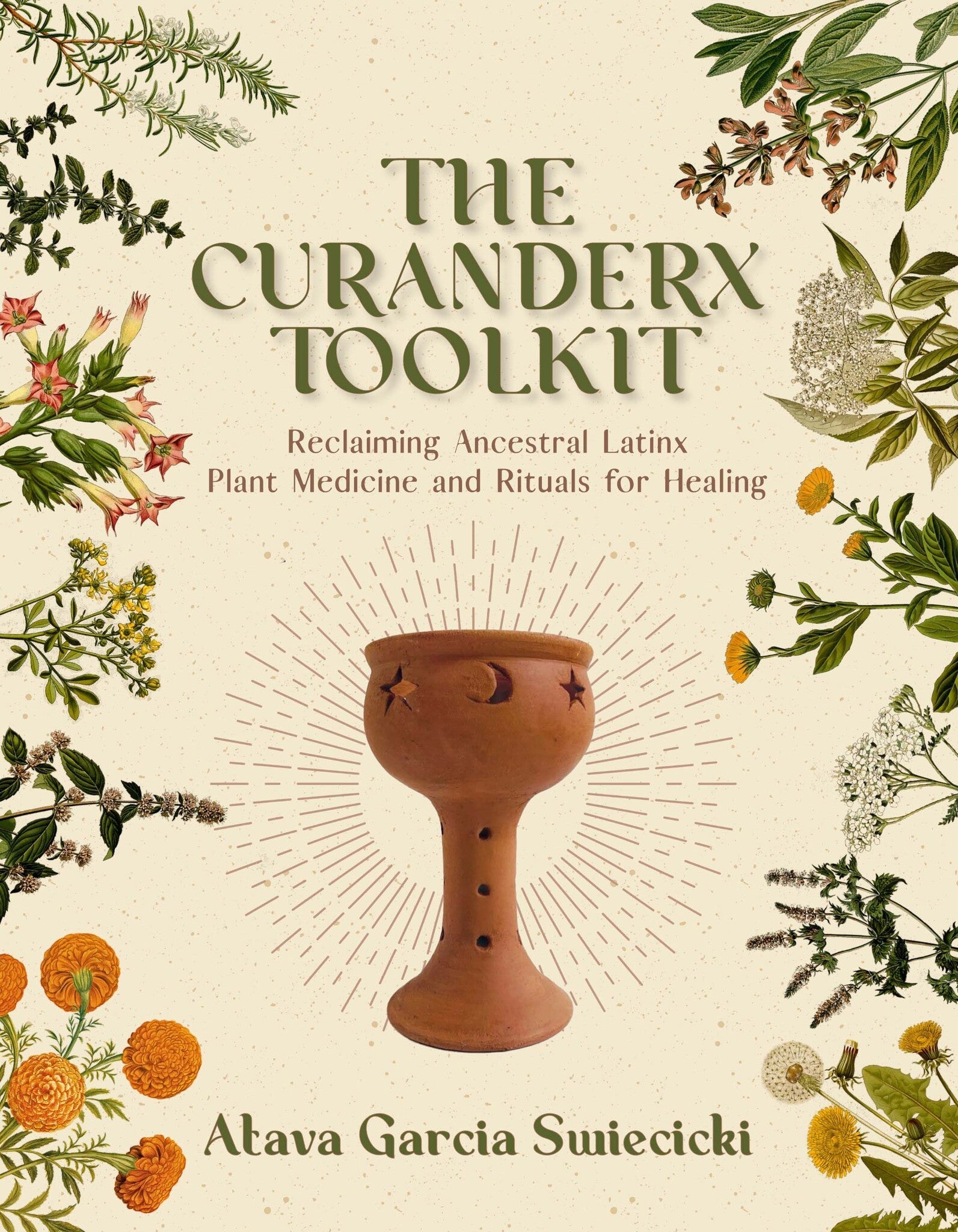 Cover image for The Curanderx Toolkit ISBN 9781597145725