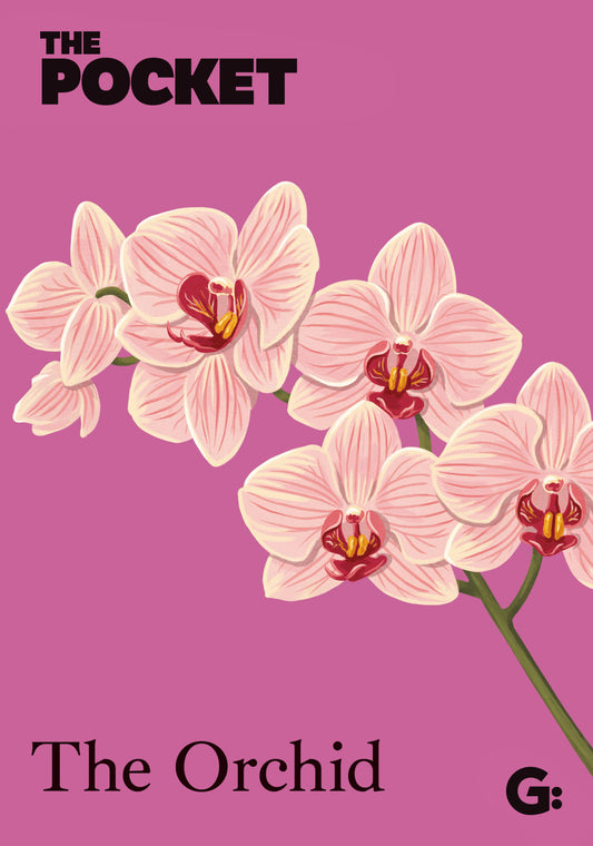 The Pocket The Orchid